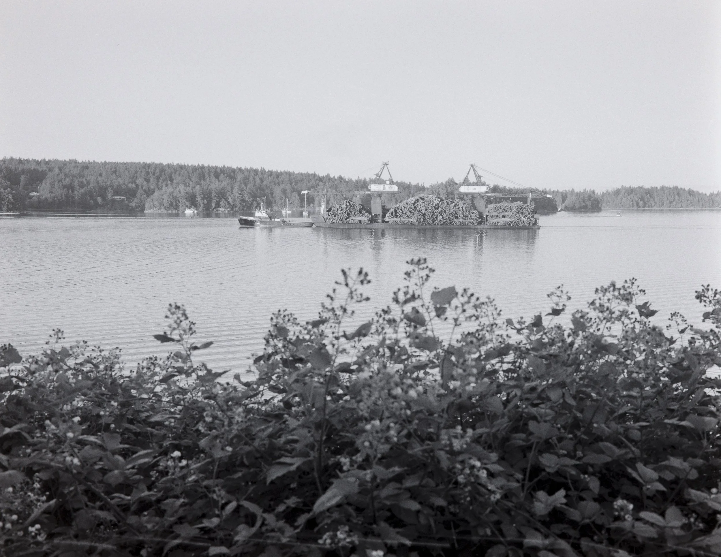 _DSC1977-Edit.jpg