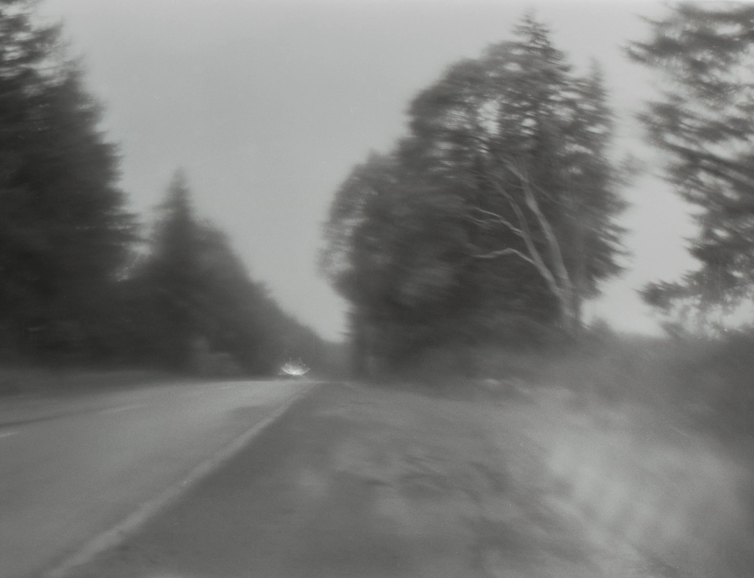 Untitled (211).jpg