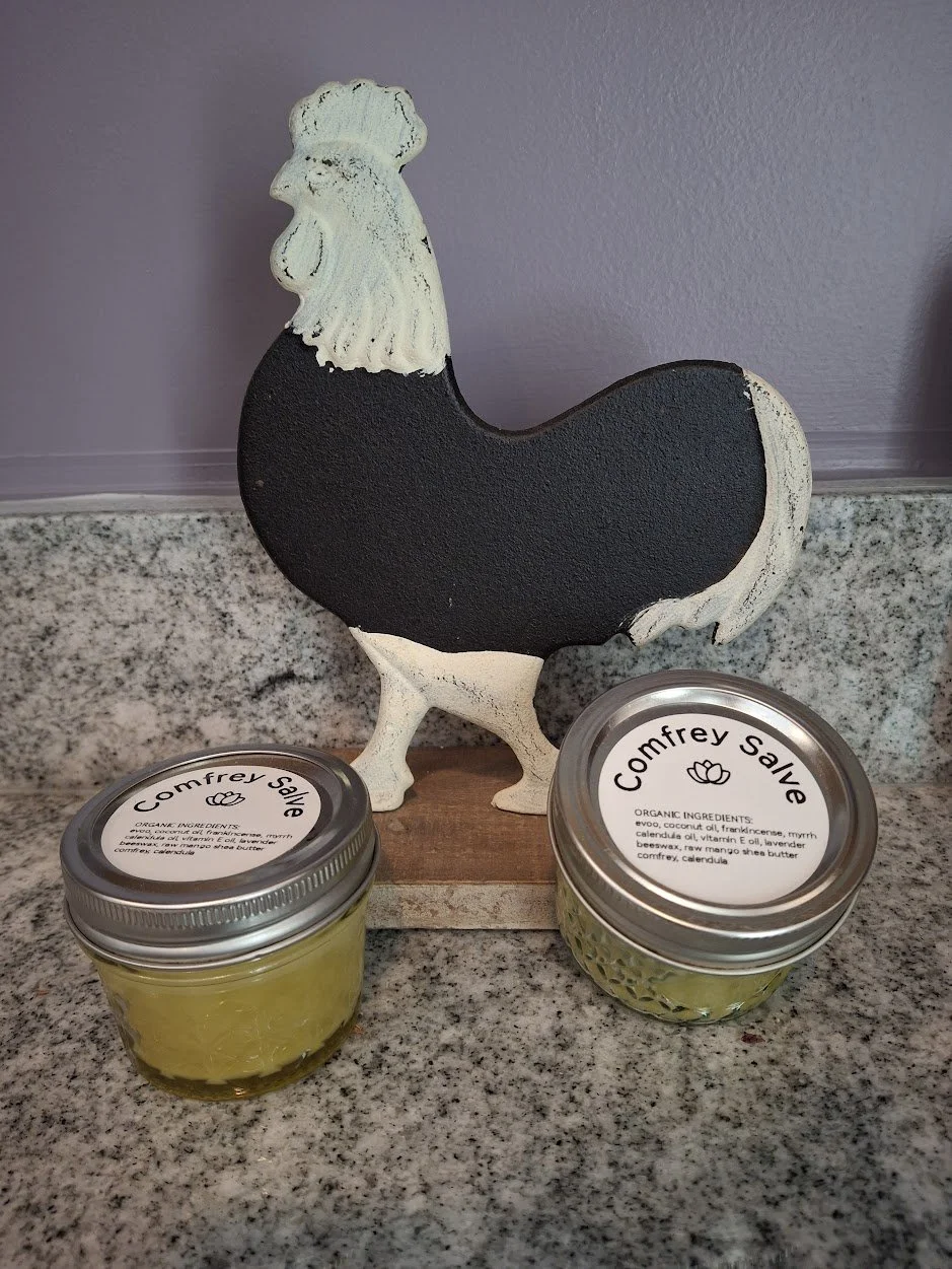 Comfrey Salve.jpg