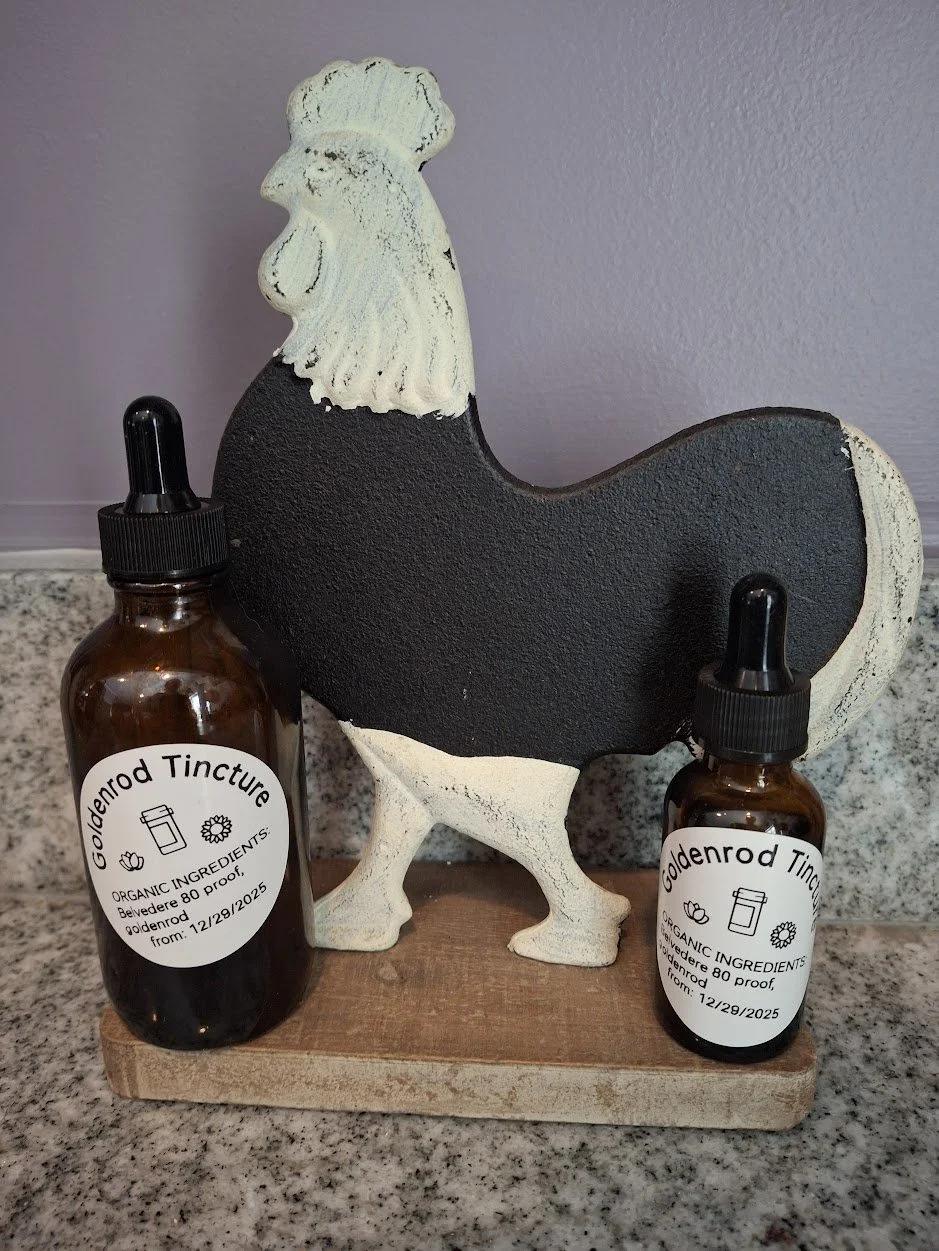 Goldenrod Tincture.jpg