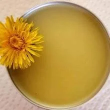 Dandelion Salve