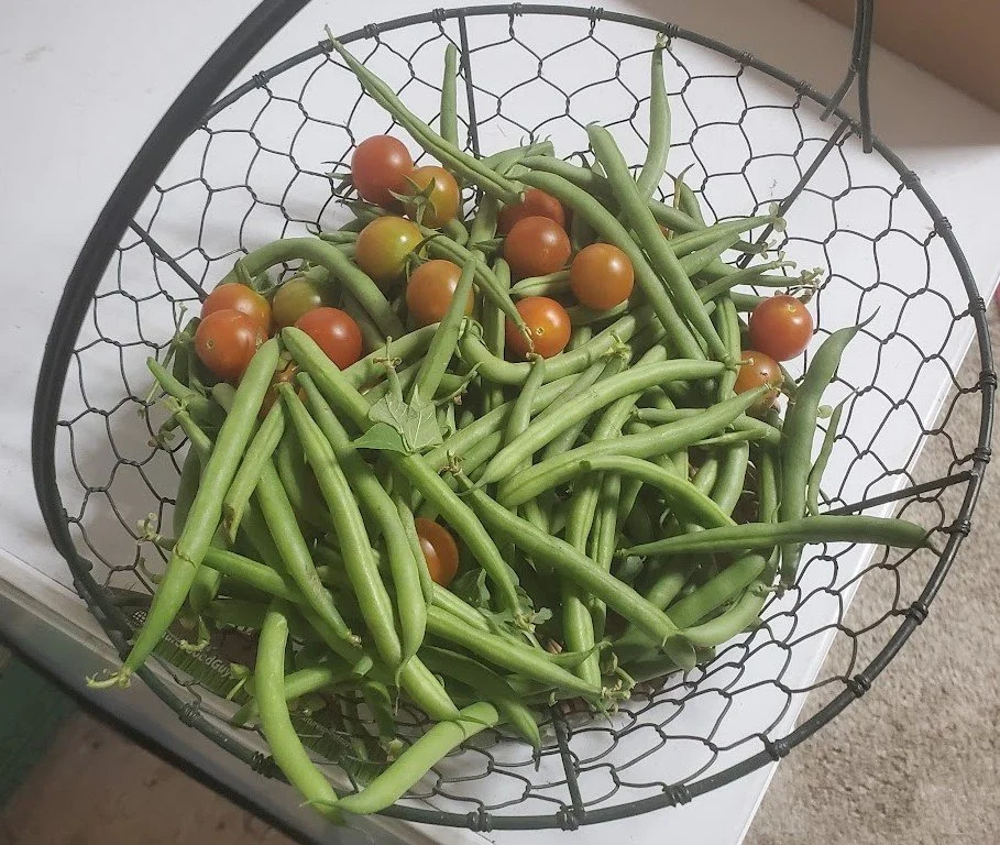 Coming Soon: Mindfulness Eating