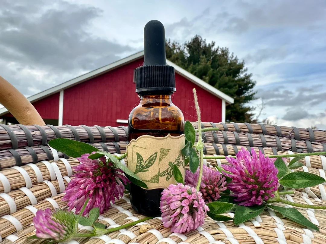 Red Clover Tincture
