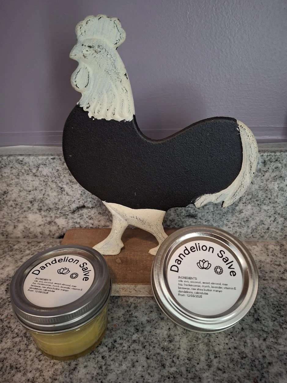 Dandelion Salve.jpg