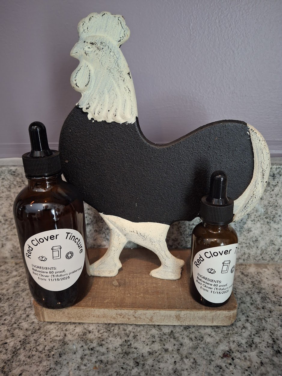 Red Clover Tincture.jpg
