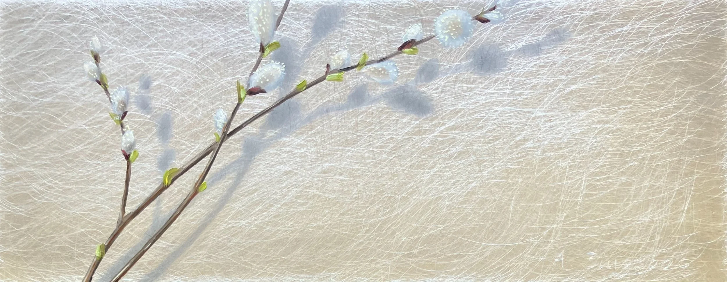 "Aur Pussywillows"  4"x10" oil on aluminum $170