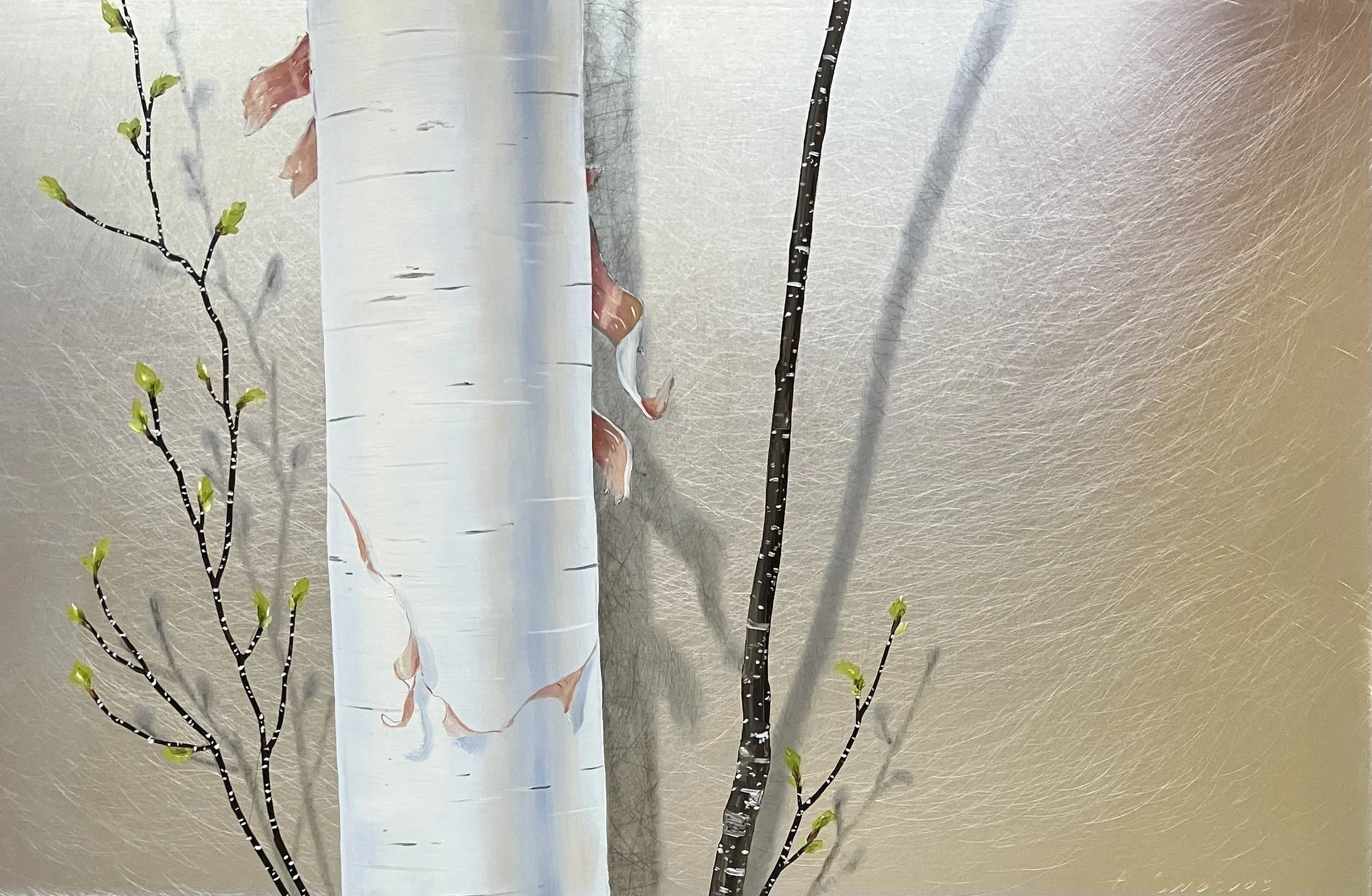 "Fine Brook Birches"  12"x18" oilon aluminum $450