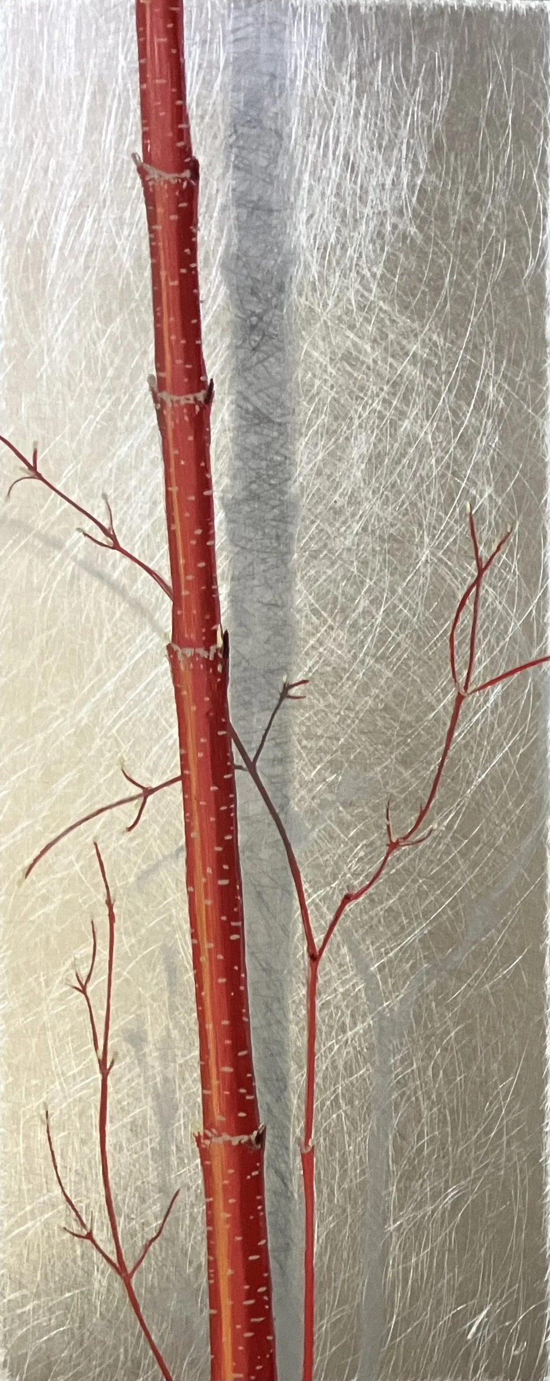 "Iro Dogwoods"  10"x4" oil on aluminum $190