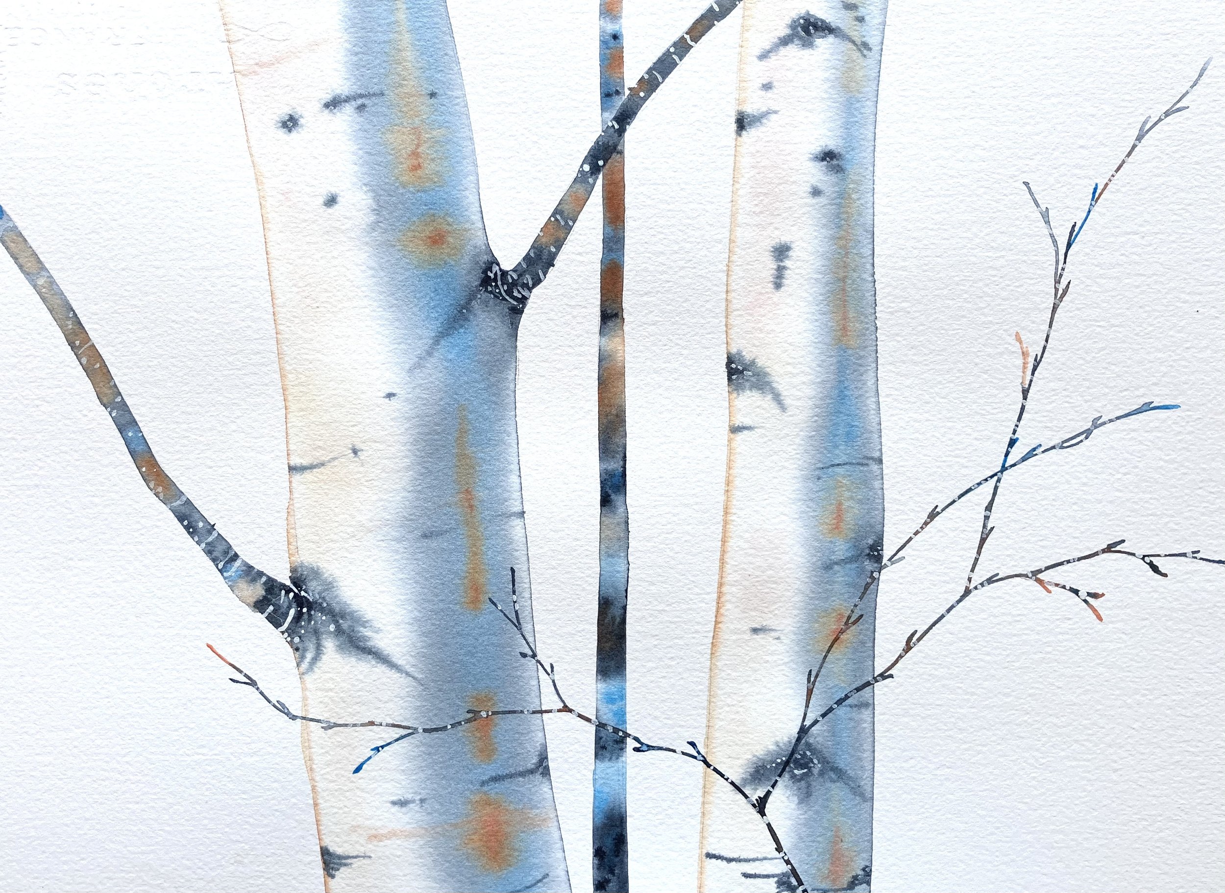 "Nesbyen Birches"  16"x20" watercolor $275
