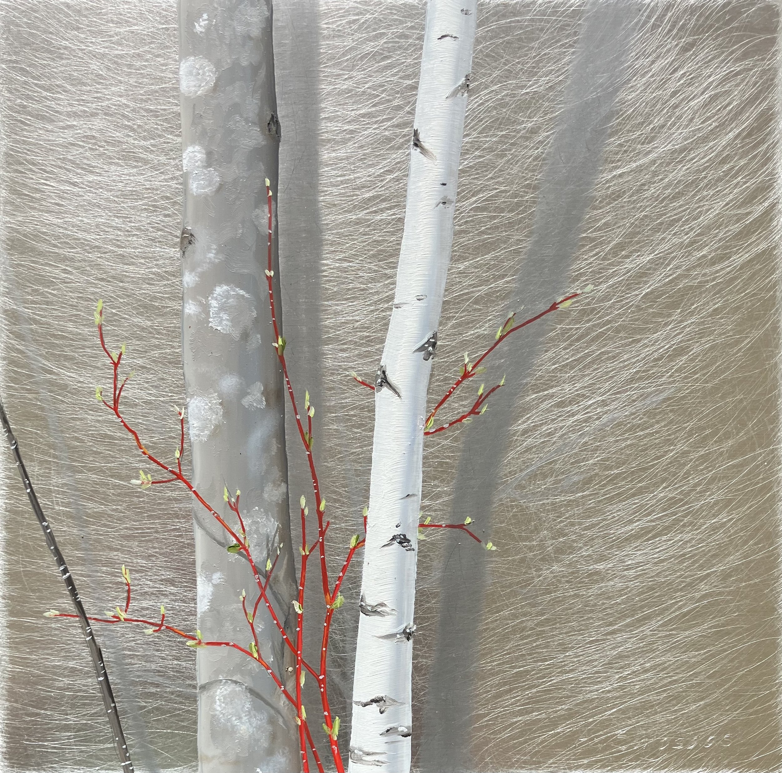 "Holt Dogwood" 8"x8" oil on aluminum $250