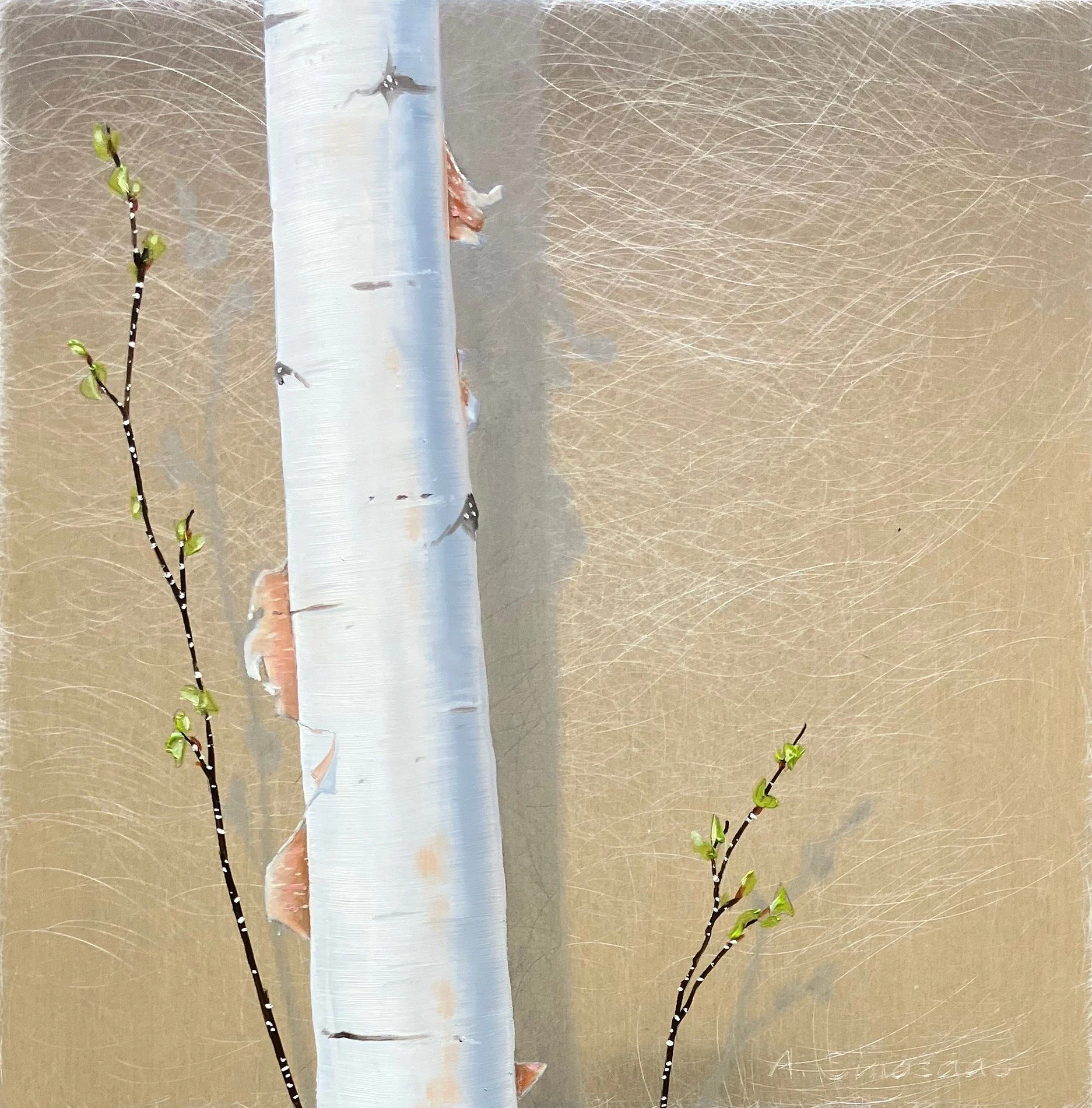 "Broi Birches" 8"x8" oil on aluminum $225