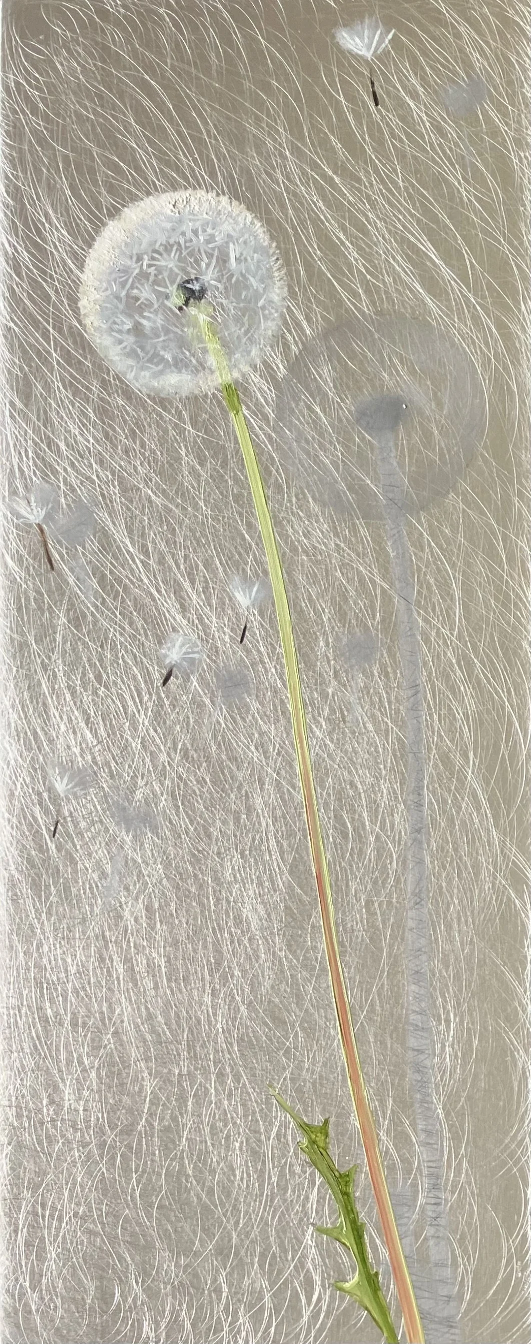 "Tug Dandelion"  10"x4" oil on aluminum $190