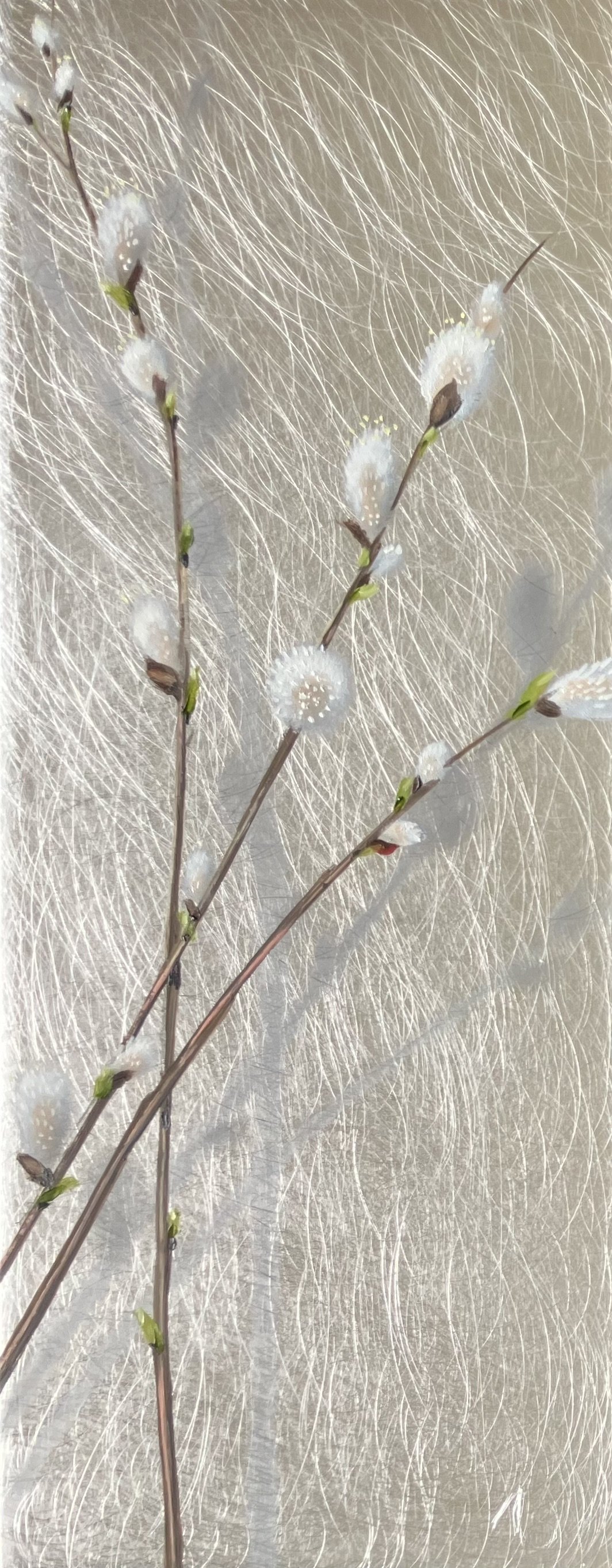 "Mir Pussywillows" 10"x4" oil on aluminum $190
