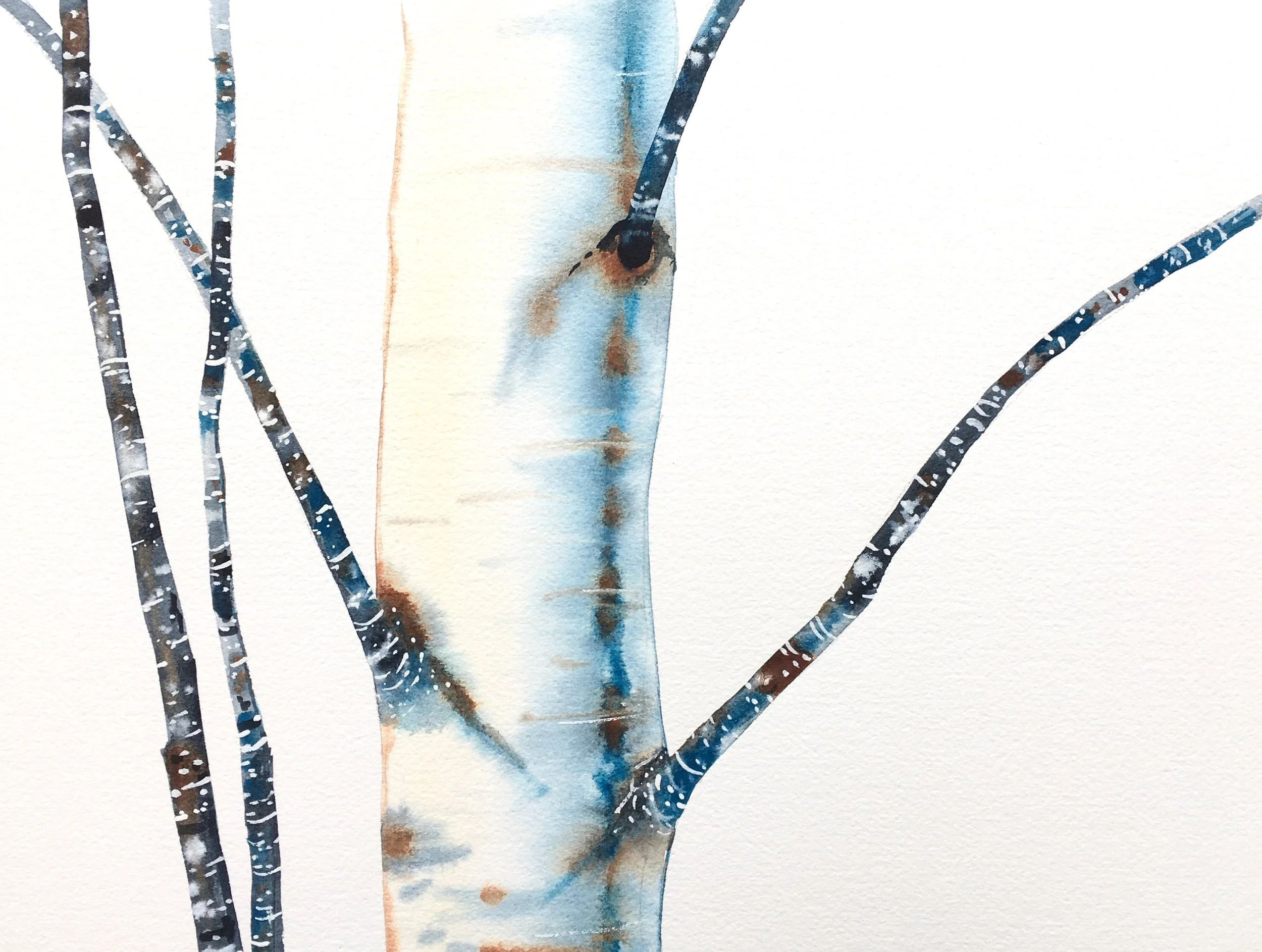 "Orebro Birches" 16"x20" watercolor $275