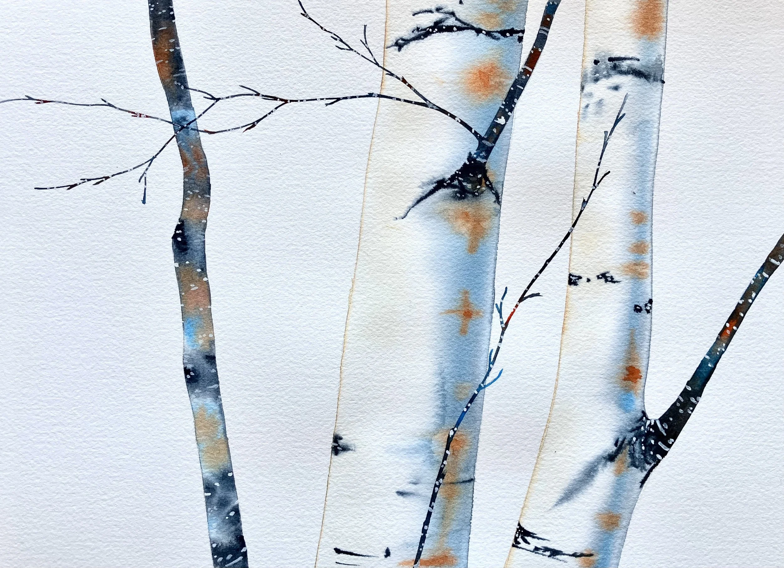 "Sorhovet Birches"  16"x20" watercolor $275