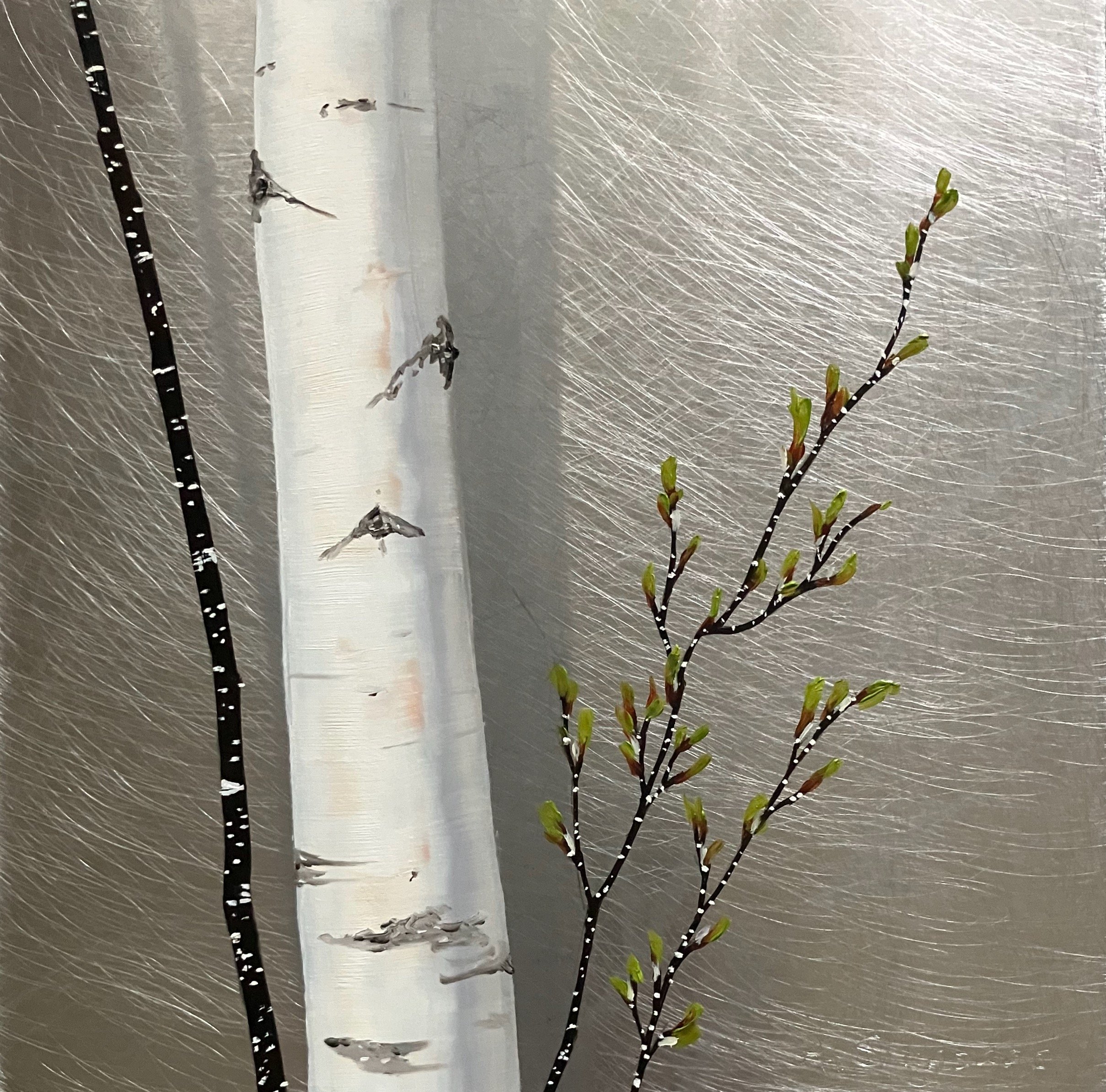 "Akoi Birches" 8"x8" oil on aluminum  $225