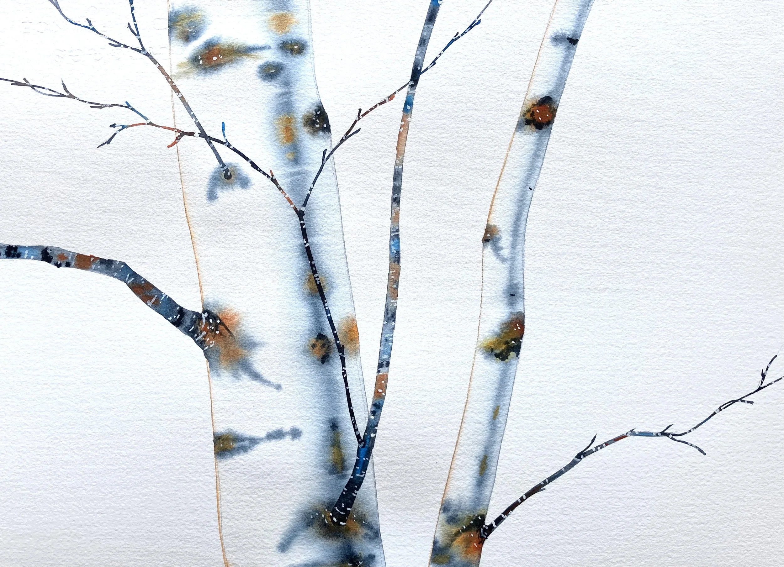 "Ustaoset Birches"  16"x20" watercolor $275