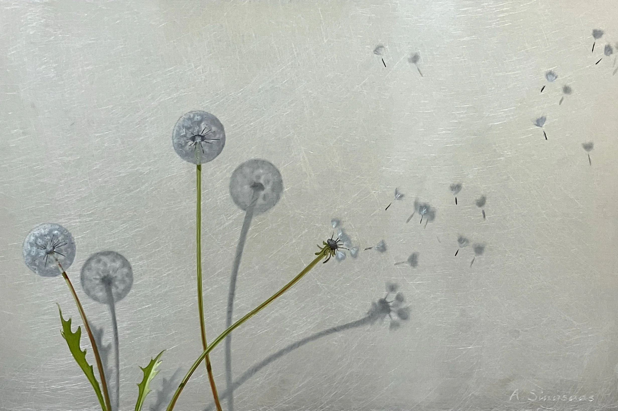 "In Flight Dandelions" 12"x18"  oil on aluminum $450