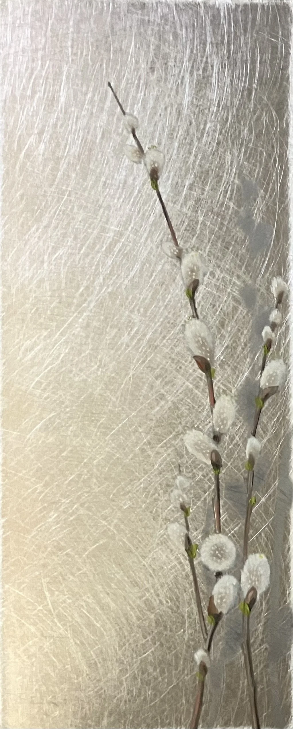 "Cul Pussywillows"  10"x4" oil on aluminum $190