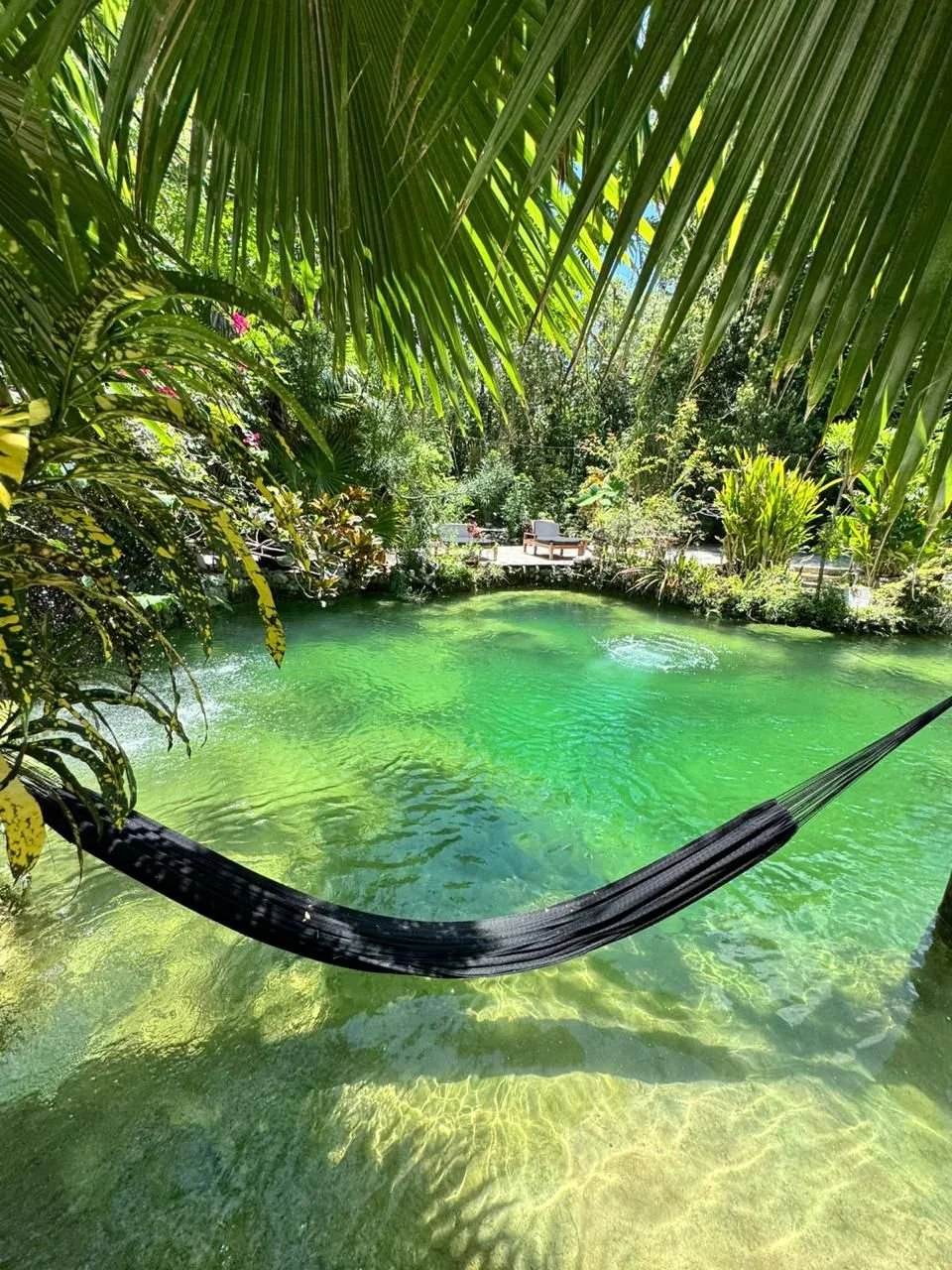 PHOTO-2025-12-15-18-33-54 2.jpg