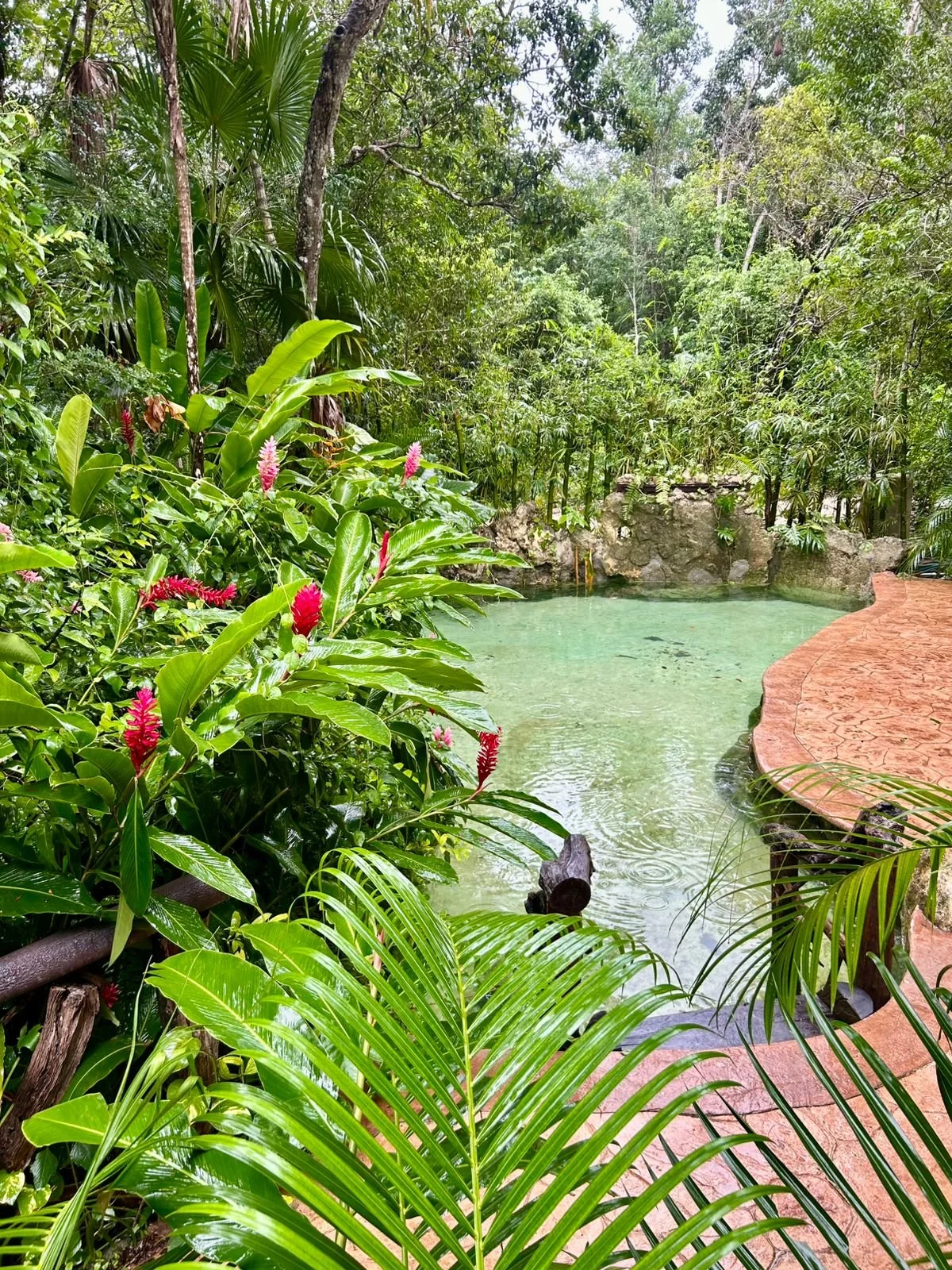 PHOTO-2025-12-15-18-33-53 4.jpg