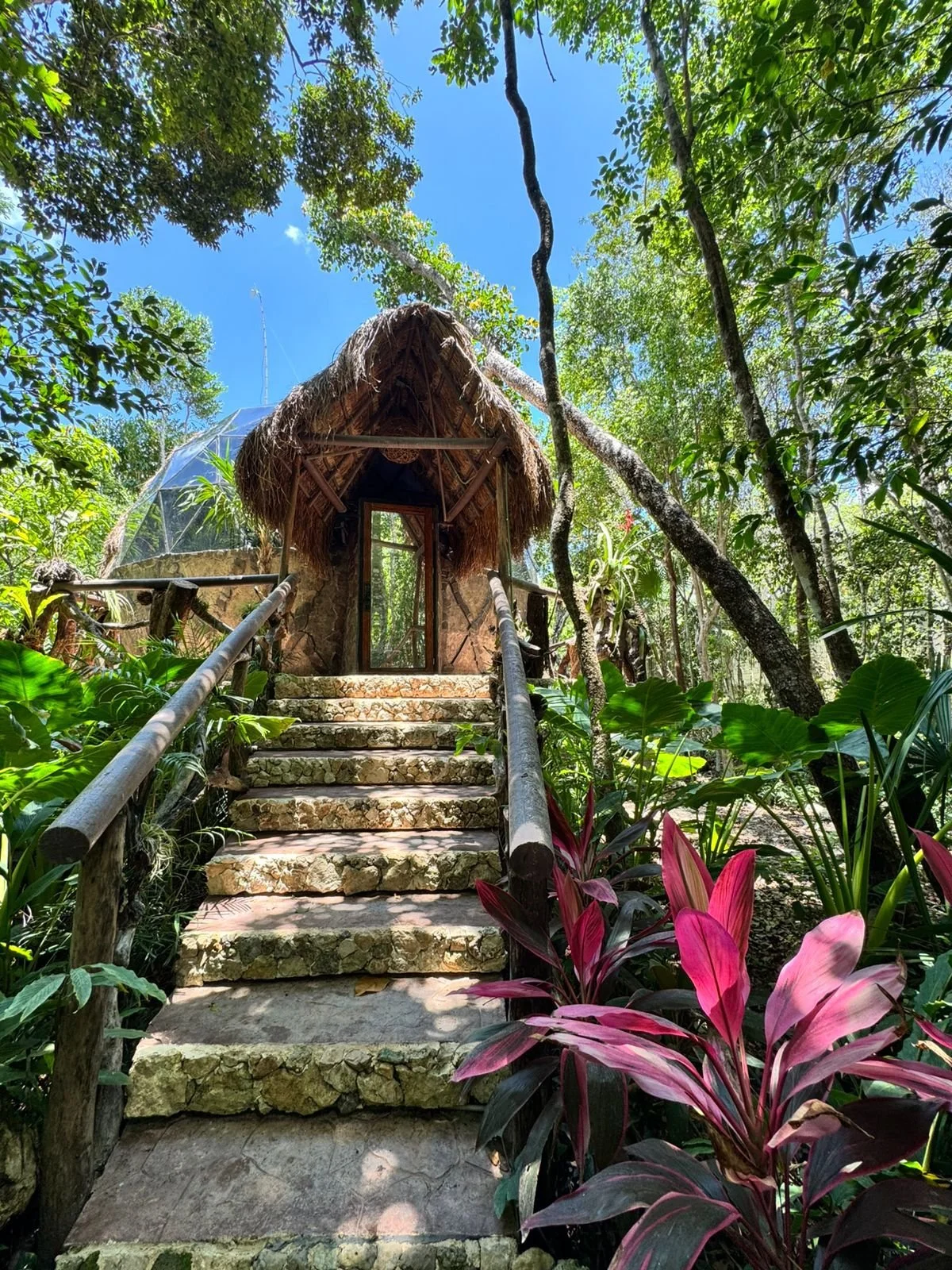 PHOTO-2025-12-15-18-33-53 3.jpg