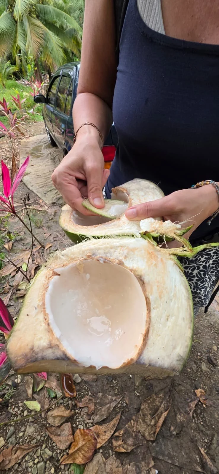 PHOTO-2025-09-27-20-03-30 5.jpg