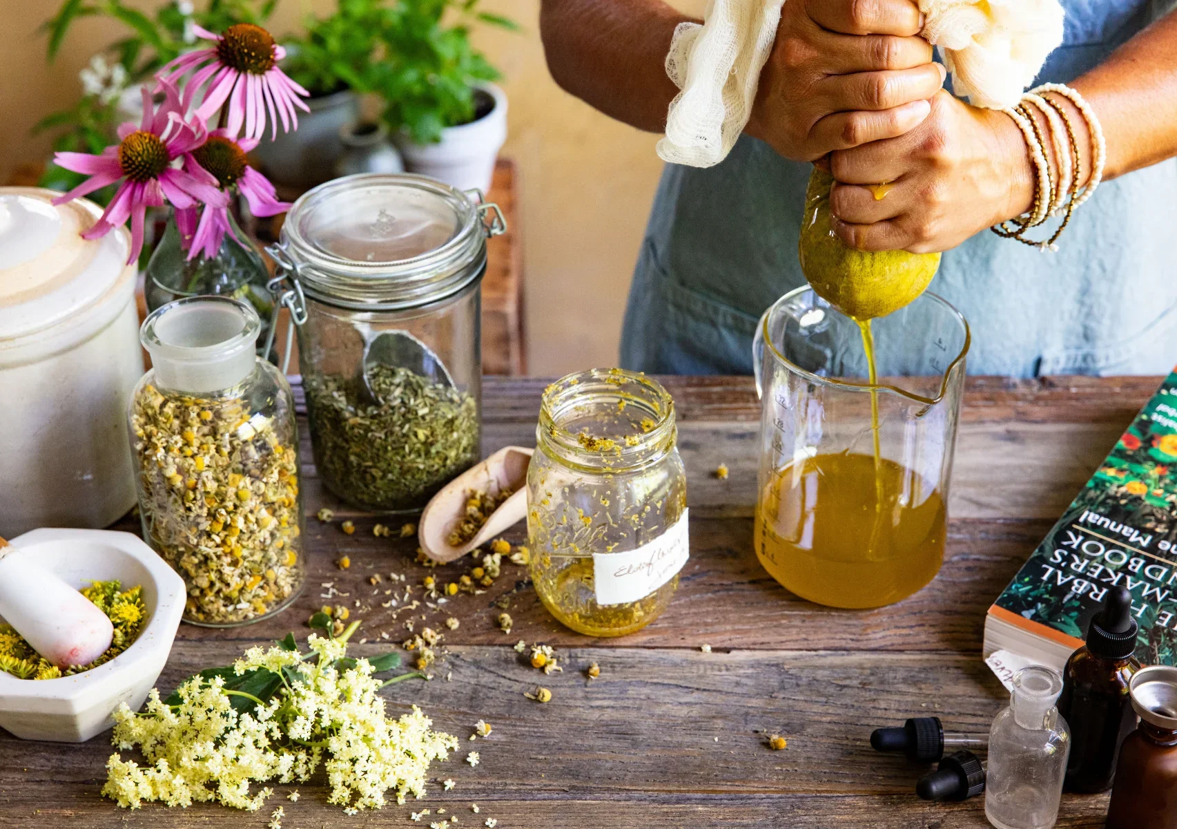 local herbalist &amp; deep detox