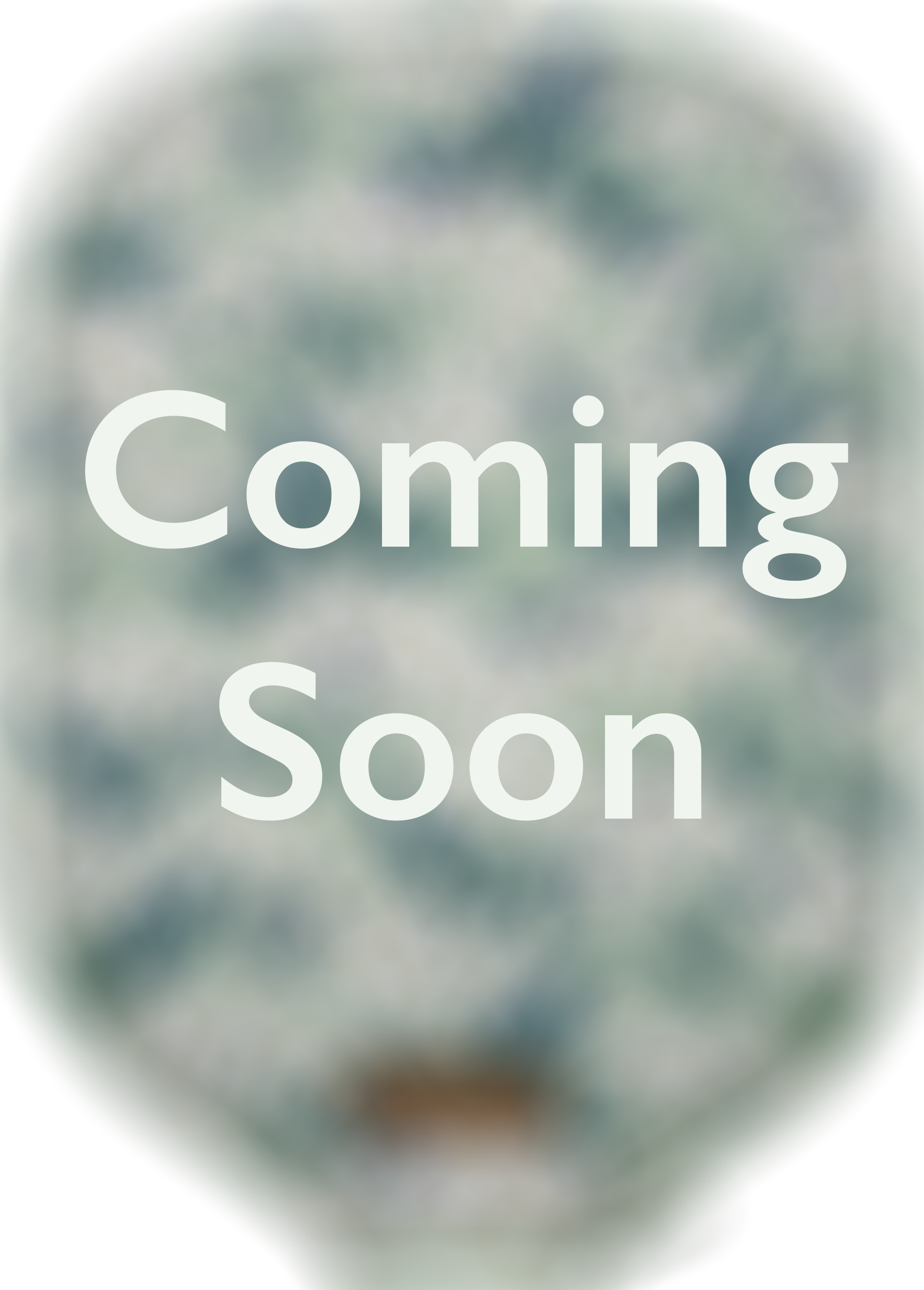 White flowers | Green background | Green zipper