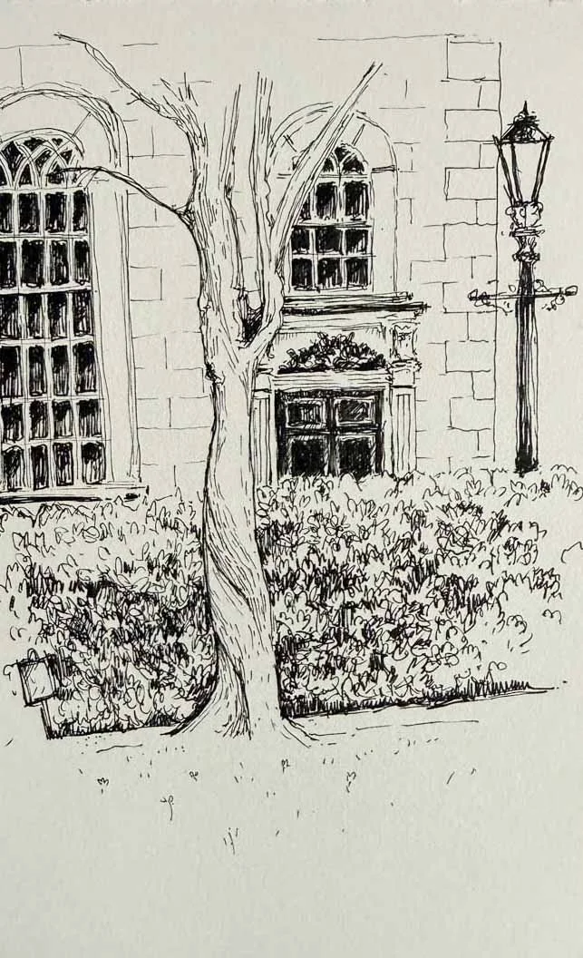 A black and white sketch of an outdoor scene featuring a building with arched windows and a door, a large tree in front, a hedge, and a street lamp.