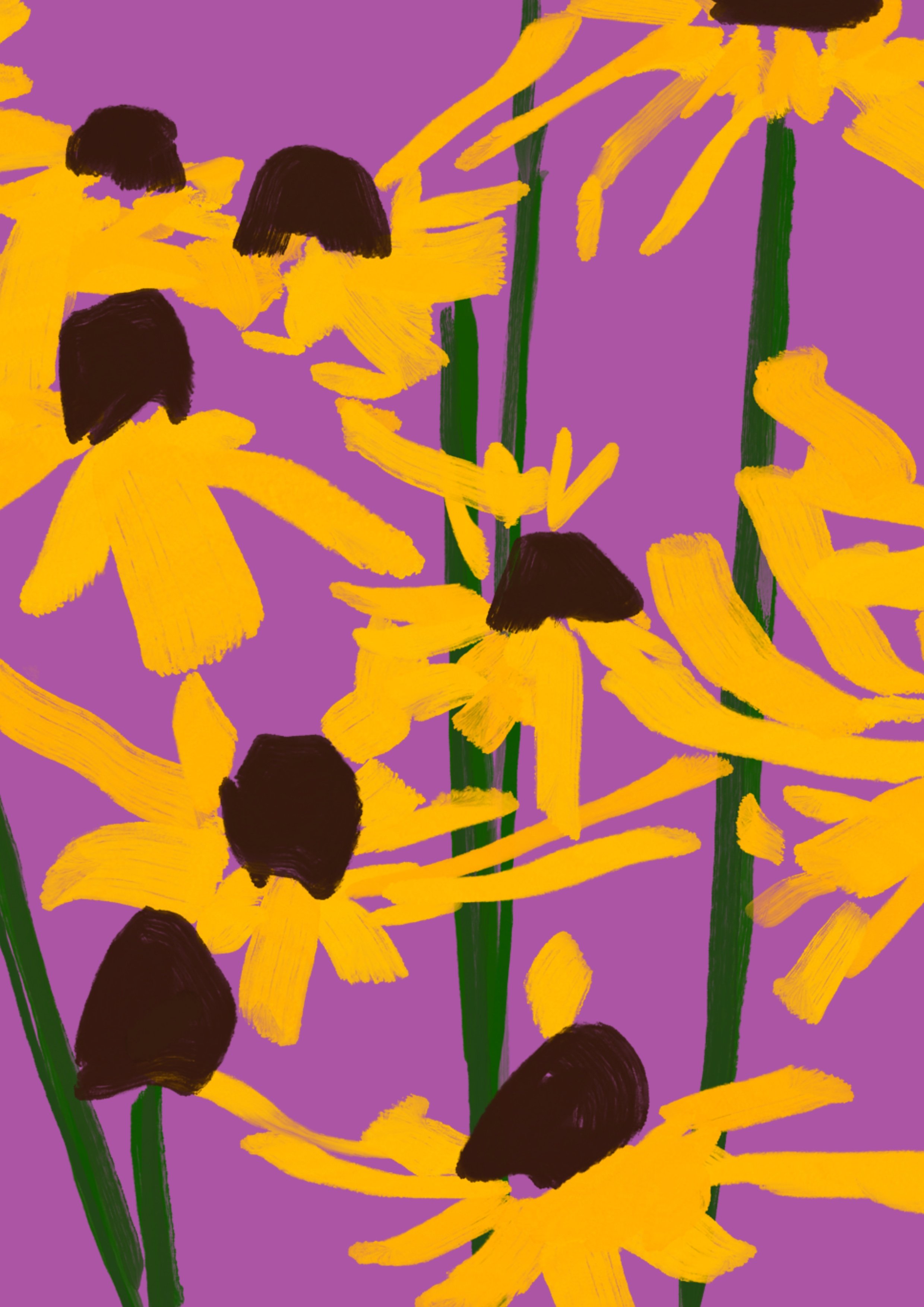 Coneflower Rudbeckia A4.jpg