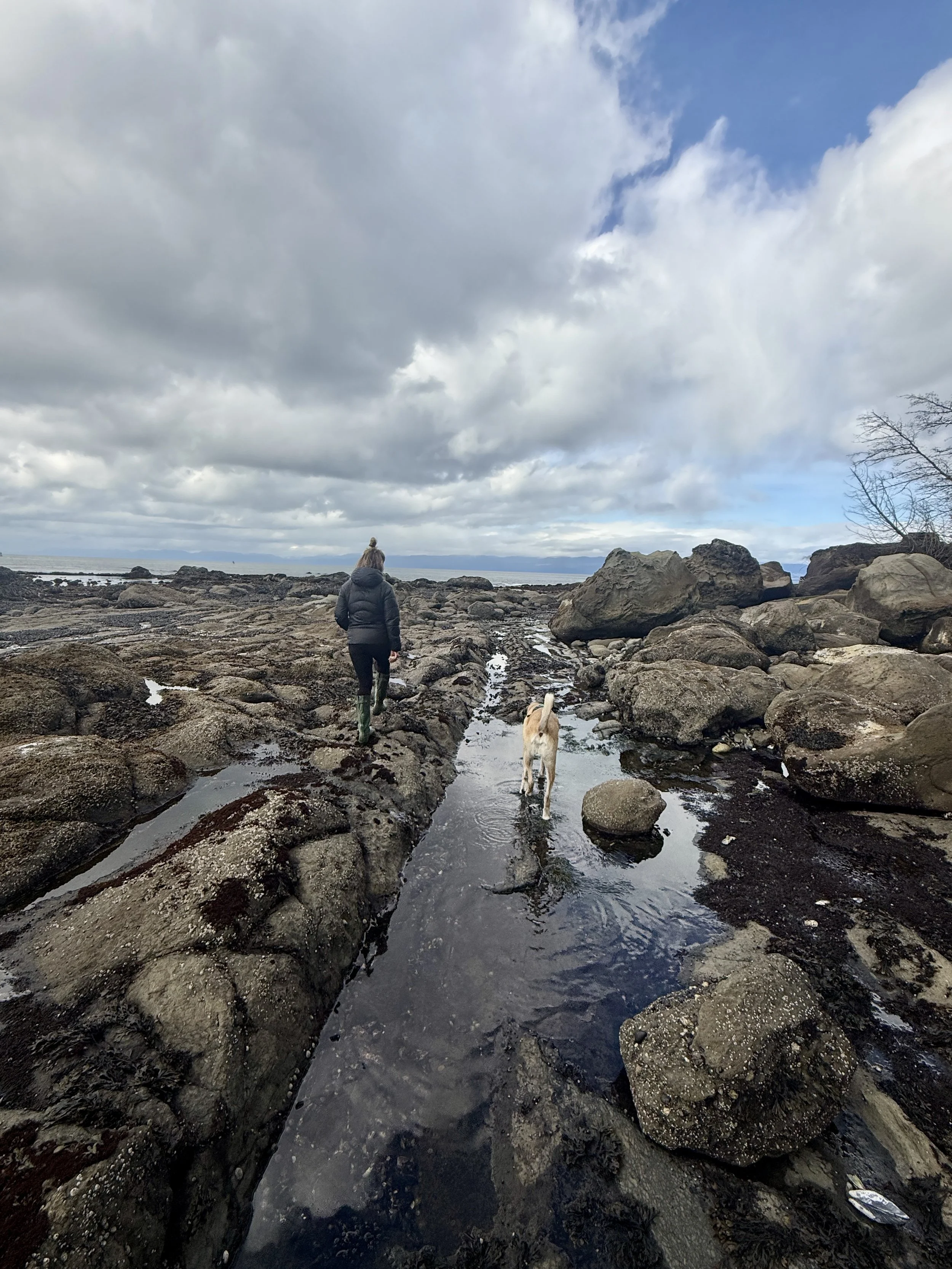 Adventuring at Slip Point in Clallam Bay