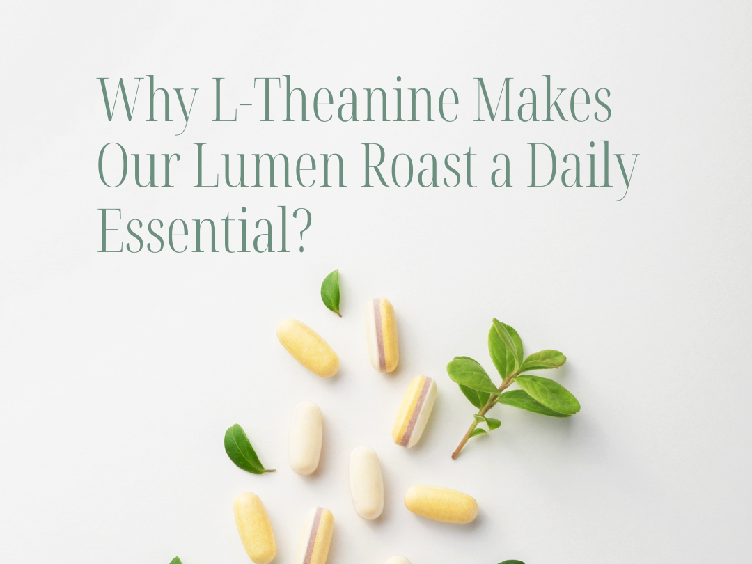 Why L‑Theanine Makes Our Lumen Roast a Daily Essential?