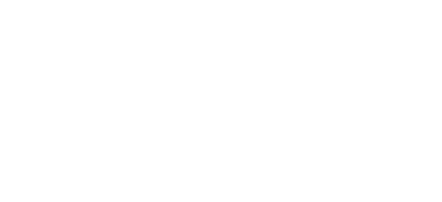 Brizard Content | Refined Wedding &amp; Event Content Creation in Arizona