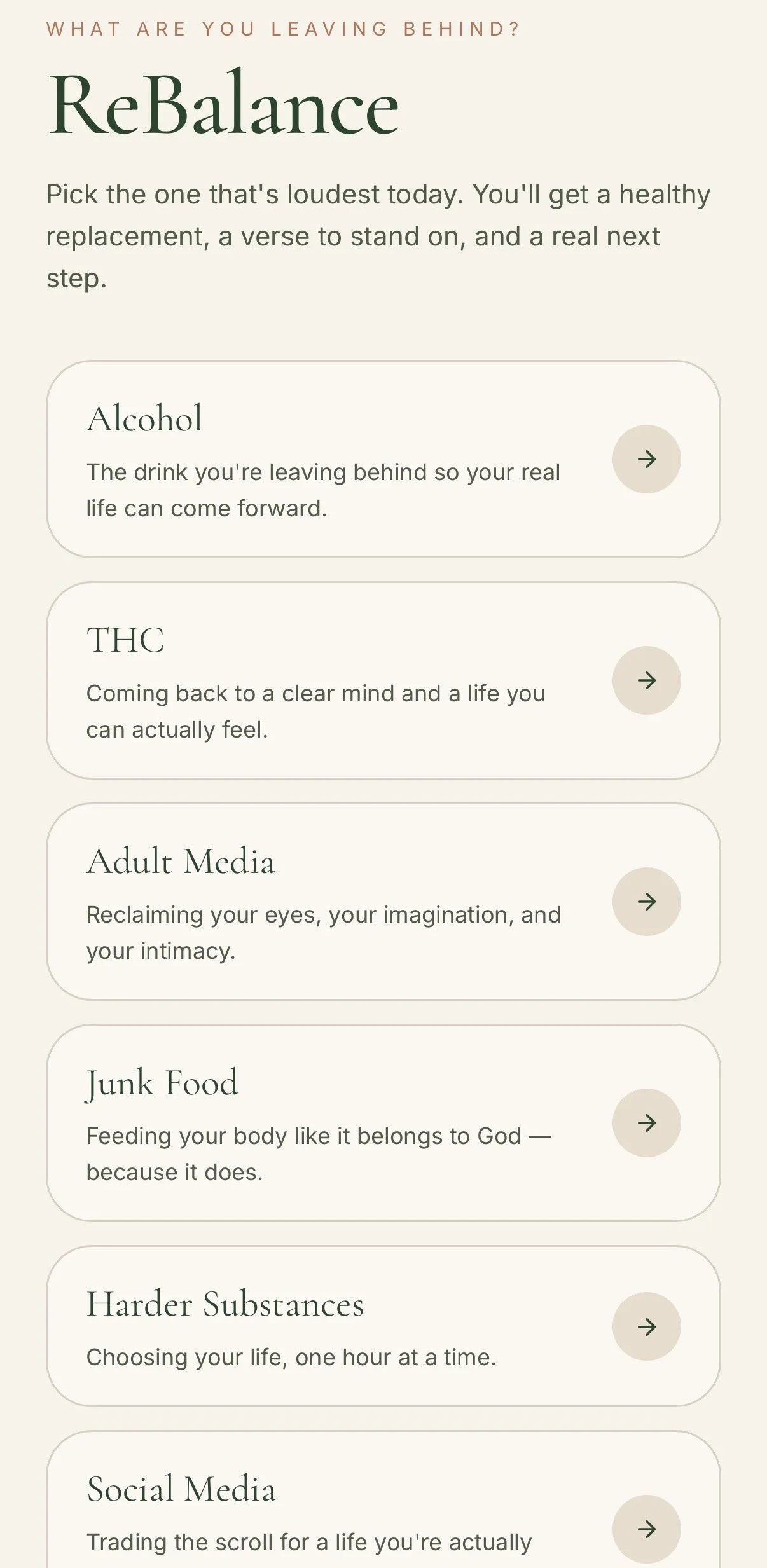 A list of mindfulness and wellness topics including Alcohol, THC, Adult Media, Junk Food, Harder Substances, and Social Media, with descriptions for each.