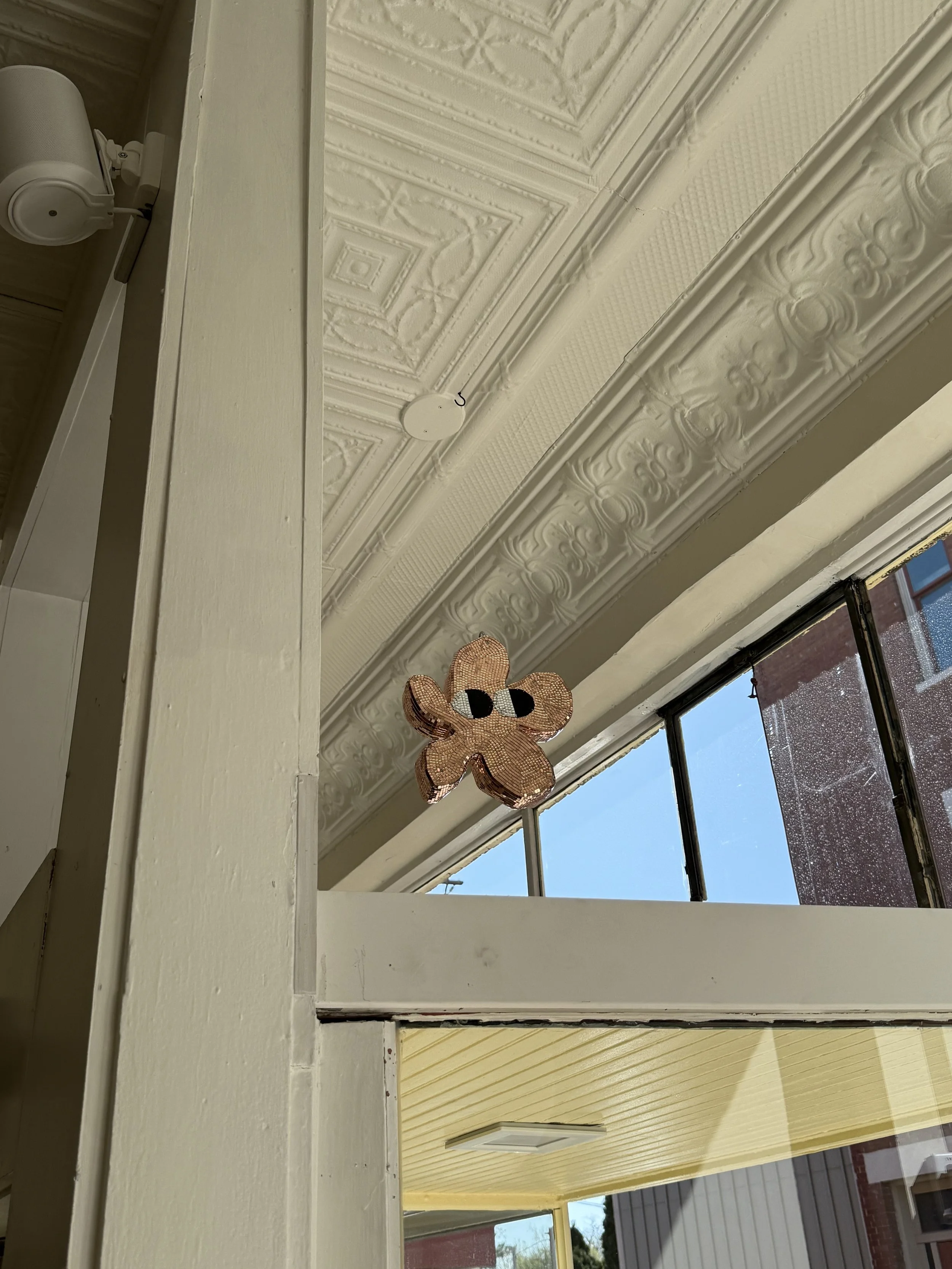 Decorative flower-shaped ornament hanging from a ceiling with ornate white molding, with a window showing a blue sky and brick building outside.