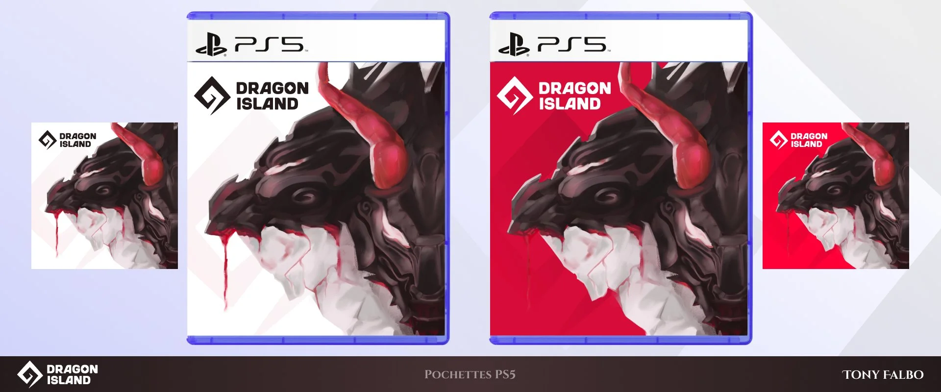 6. Pochettes PS5.jpg
