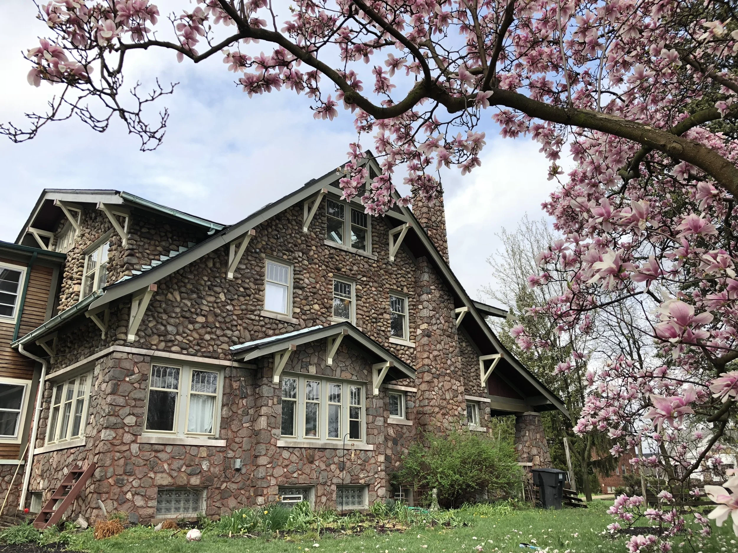 glastonbury collective artist home Rosedale park