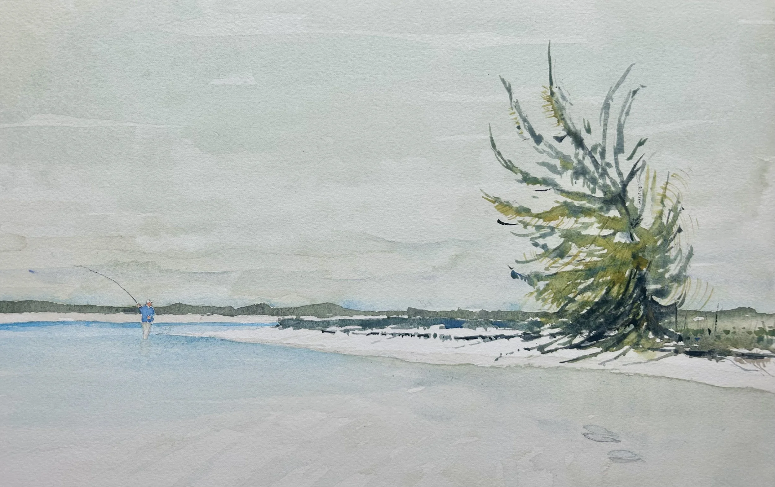 Lone Pine Bonefish, Bahamas