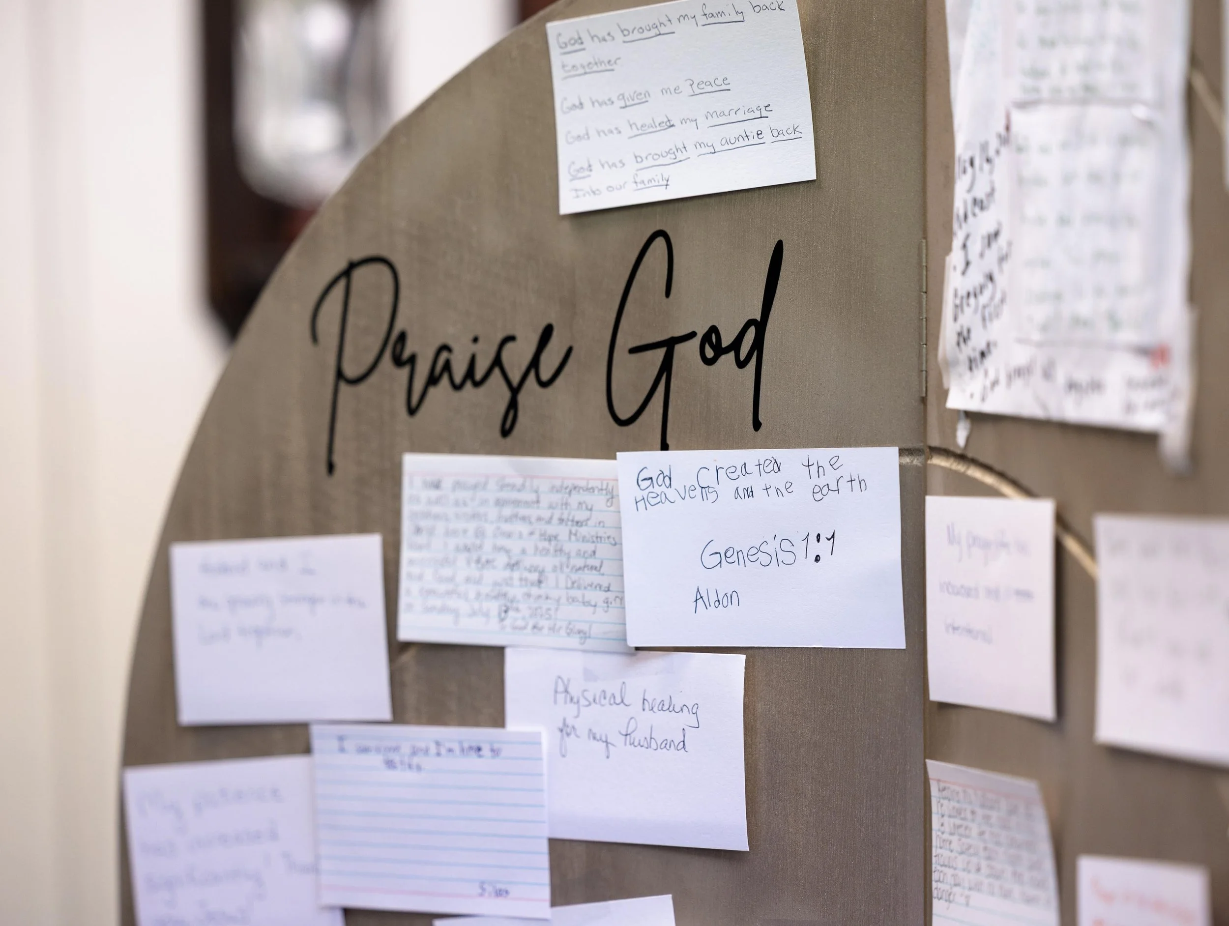 The Great Orchestrator: Your Story is Connected to God's Greater Purpose&nbsp;