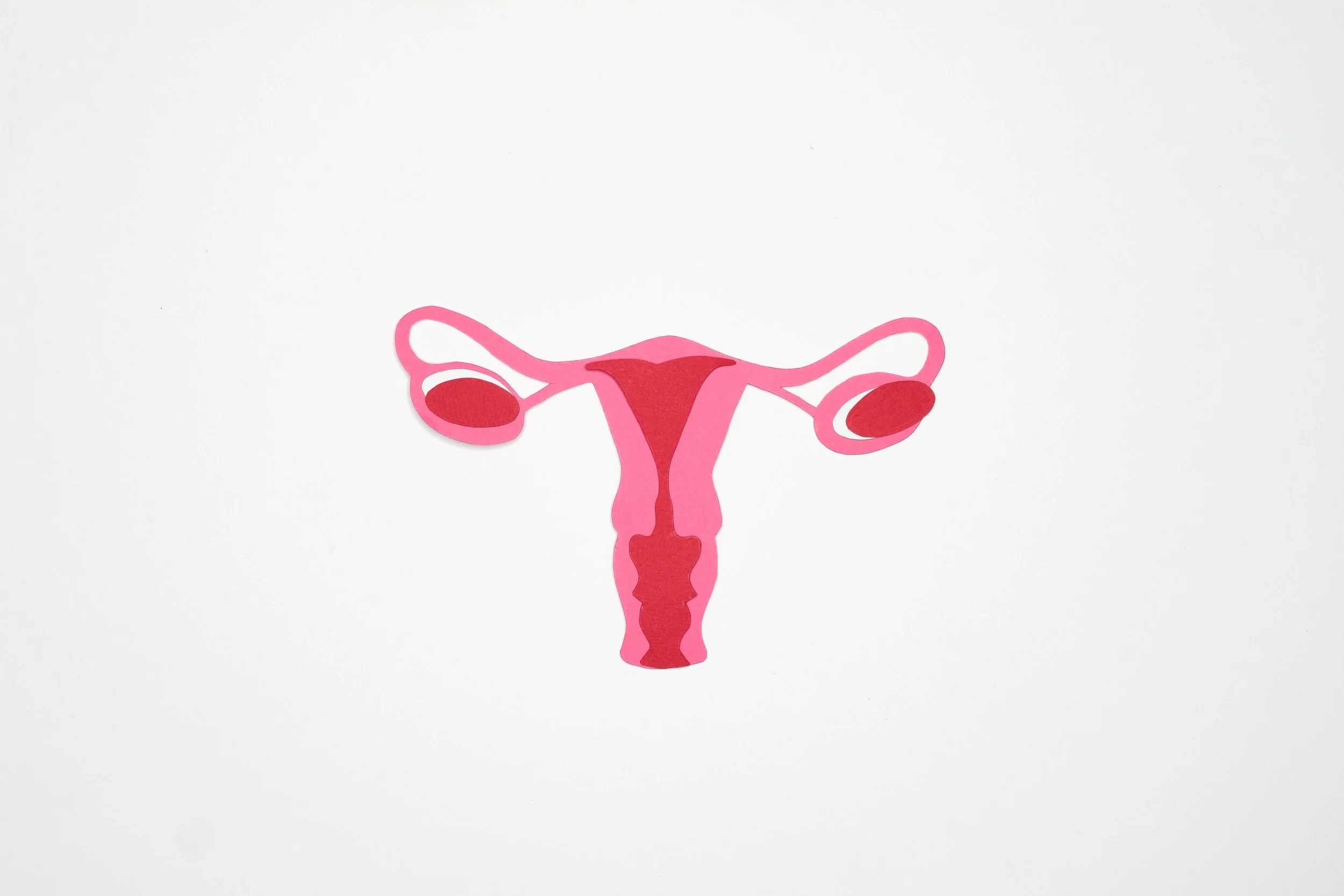 What Is A Hysterectomy?