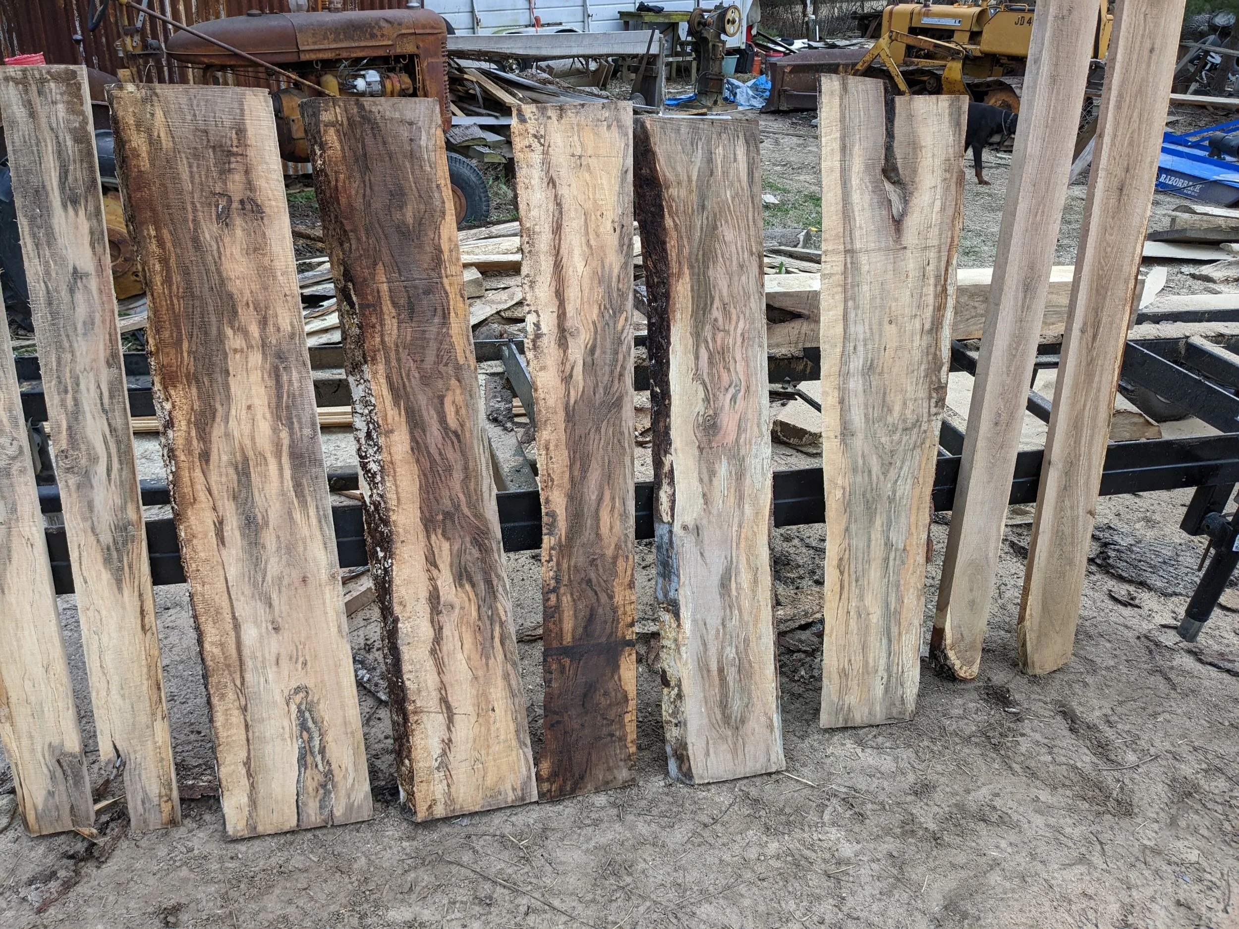 More Variations of Sweet Gum