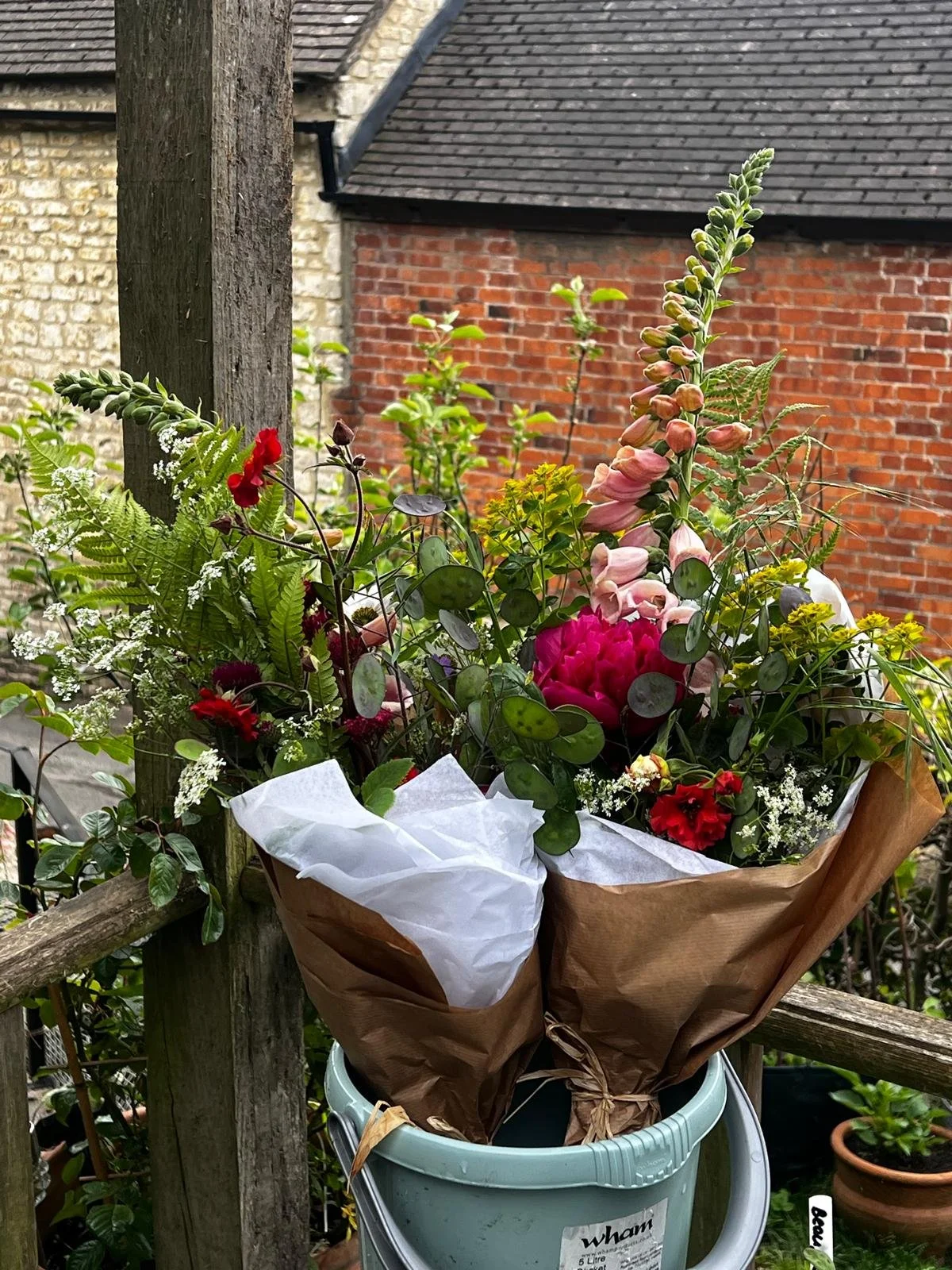 Every Day Flowers