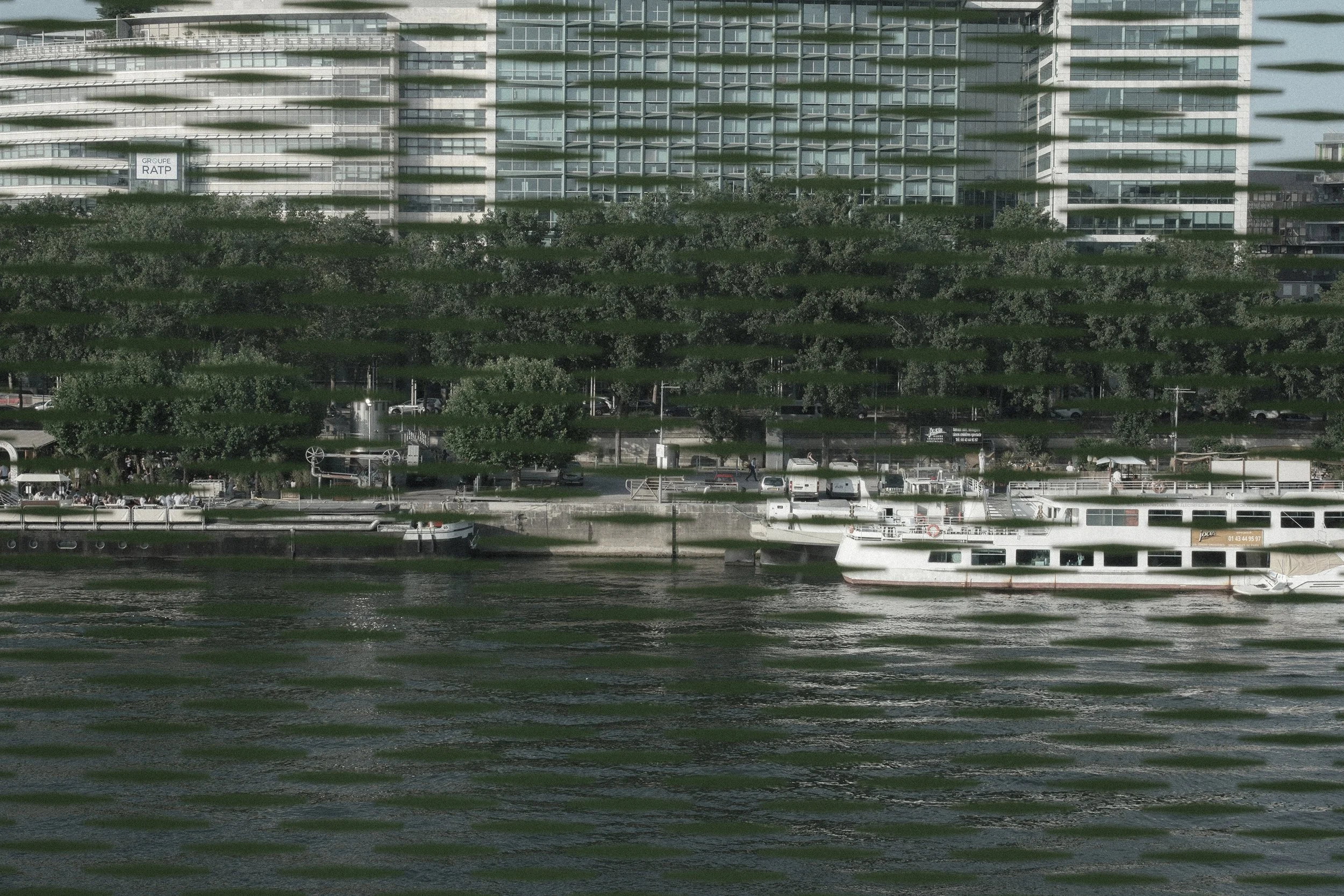 A waterfront scene with multiple boats docked along the river, trees, and a modern high-rise building with glass windows in the background.