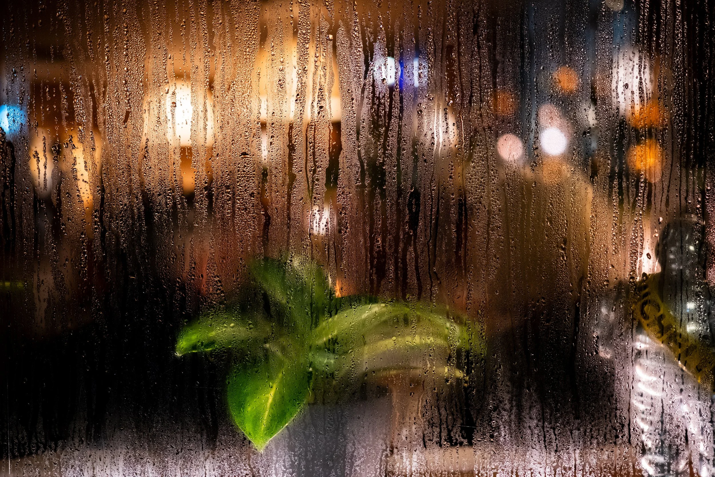 A city street scene viewed through a rain-covered window, with blurred lights and buildings in the background.