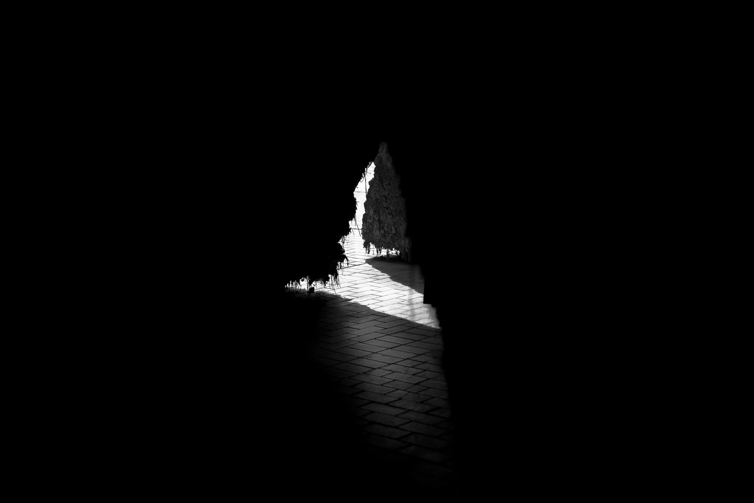 Light shining through a crack on wall near the floor, creating the shape of a bird mid-flight.