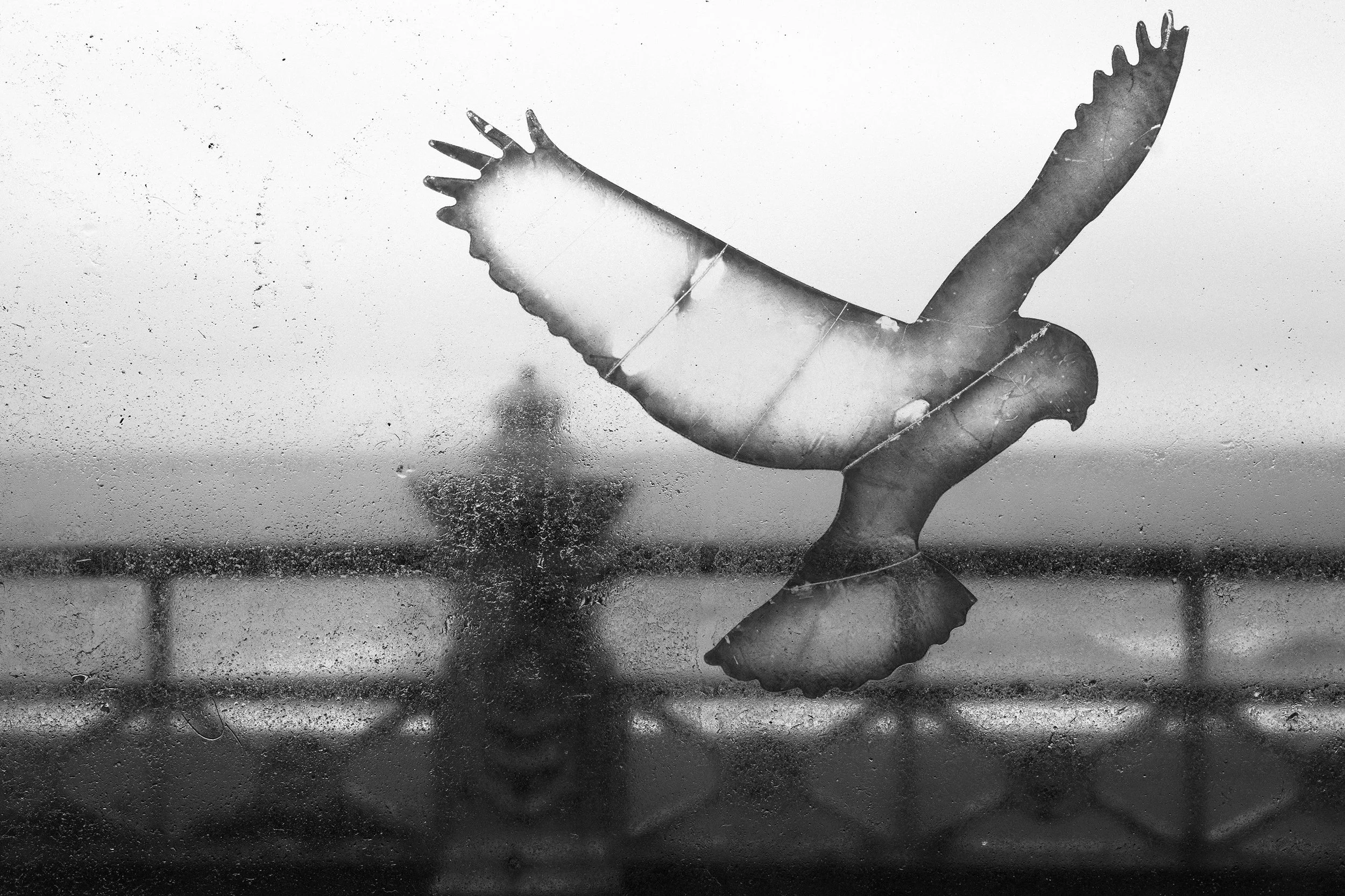 An anti-collision window decal of bird attached to a glass pane at a beach promenade. The ocean can be seen in the background.