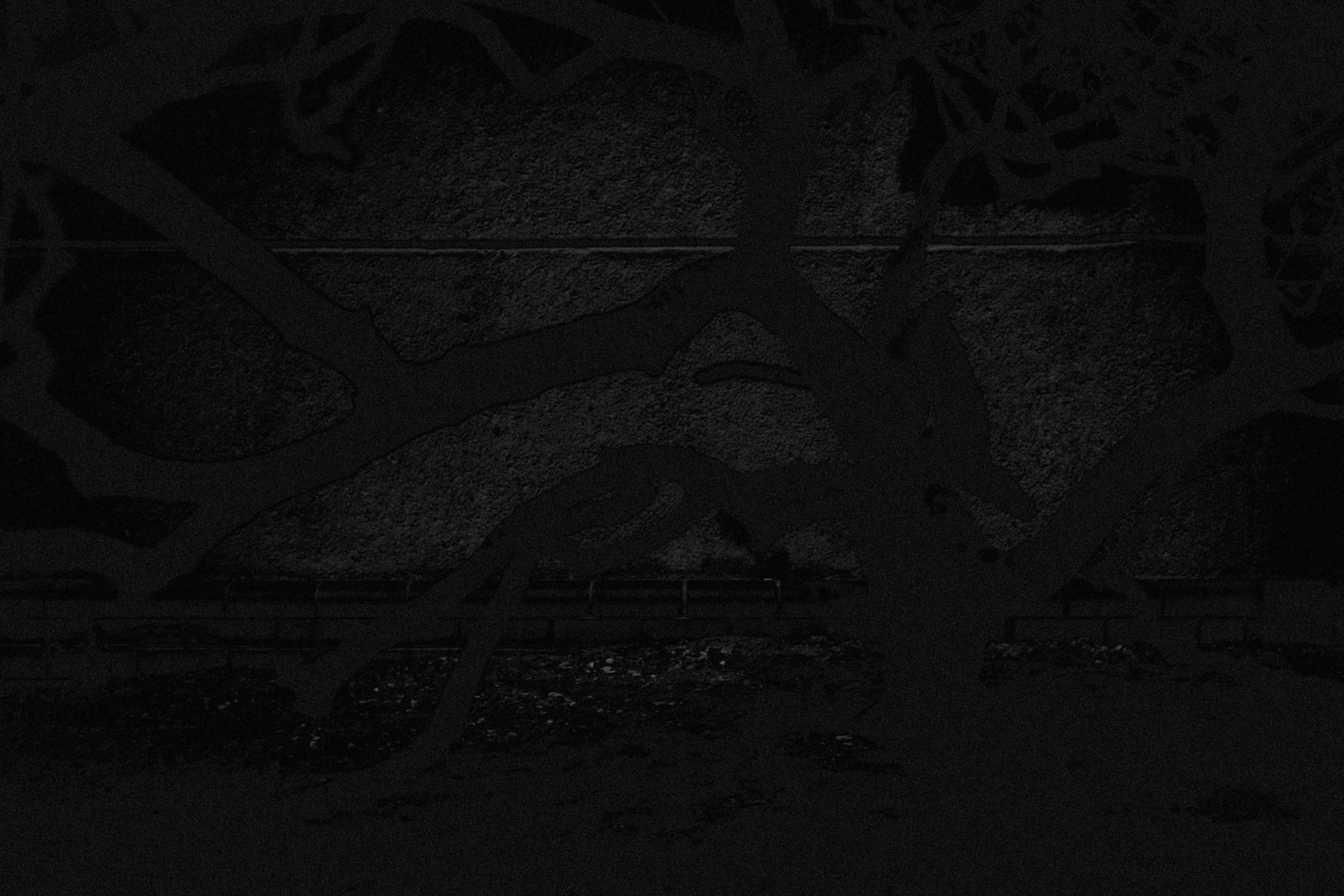 Dark abstract shot of a leafless tree in front of a stonewall. 
