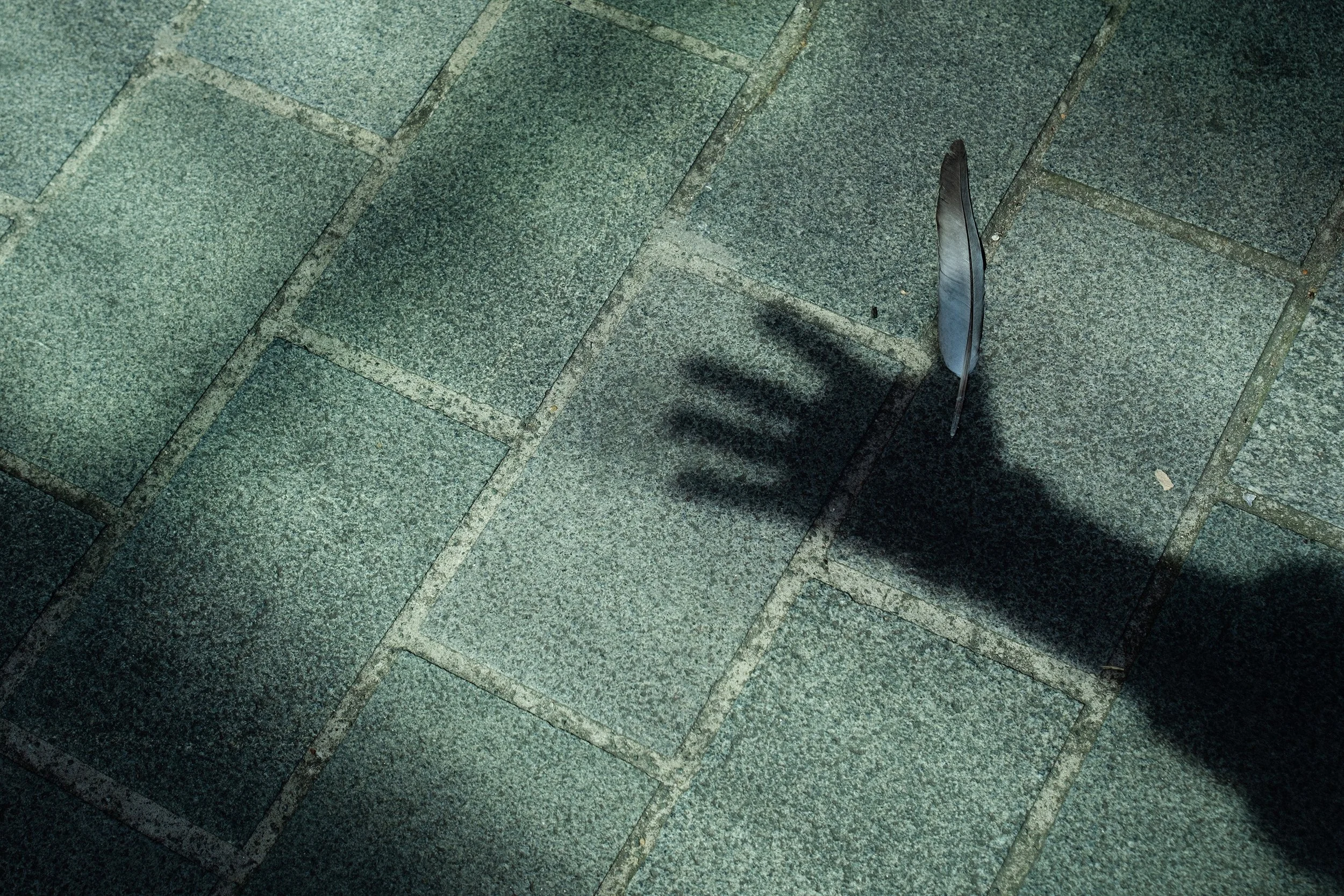 Shadow of a hand and arm on pavement, with the thumb of the hand being covered by a feather lying on the ground. 