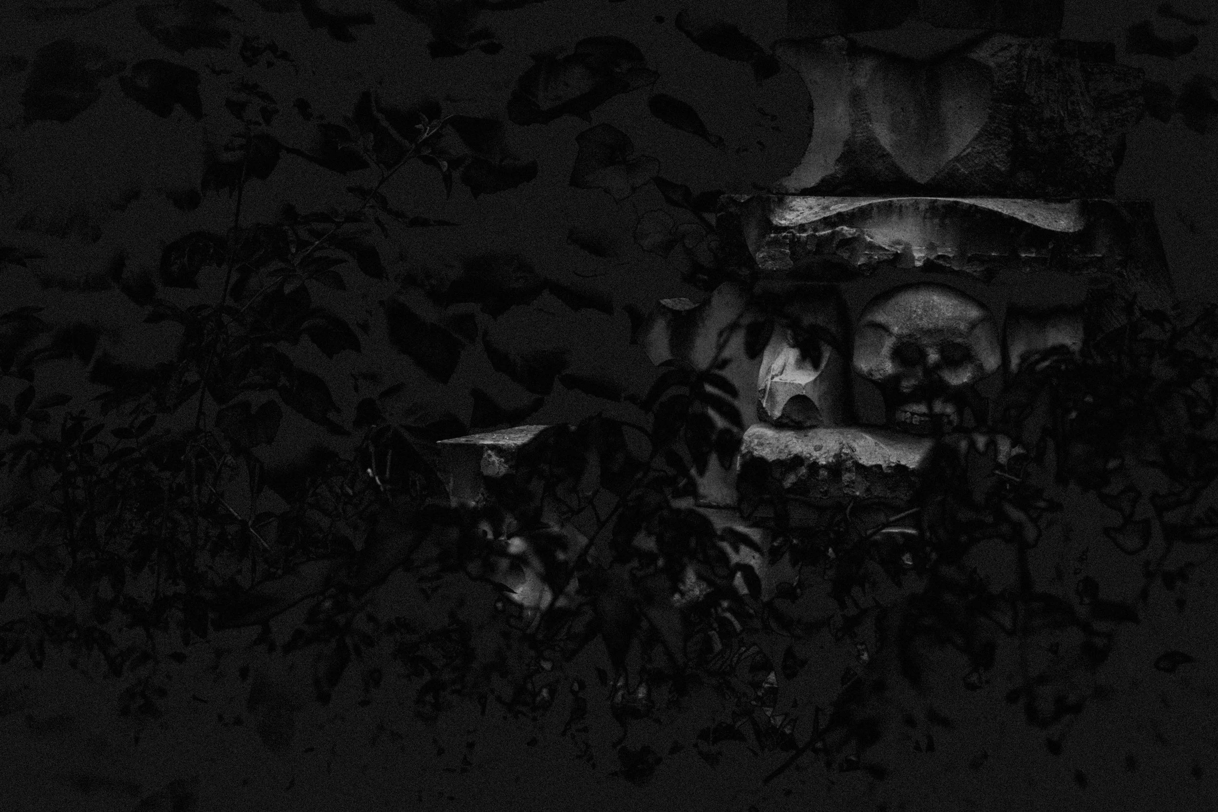 Dark abstract monochrome frame of a skull carved into a stone wall covered with plants and hidden behind a few bushes.